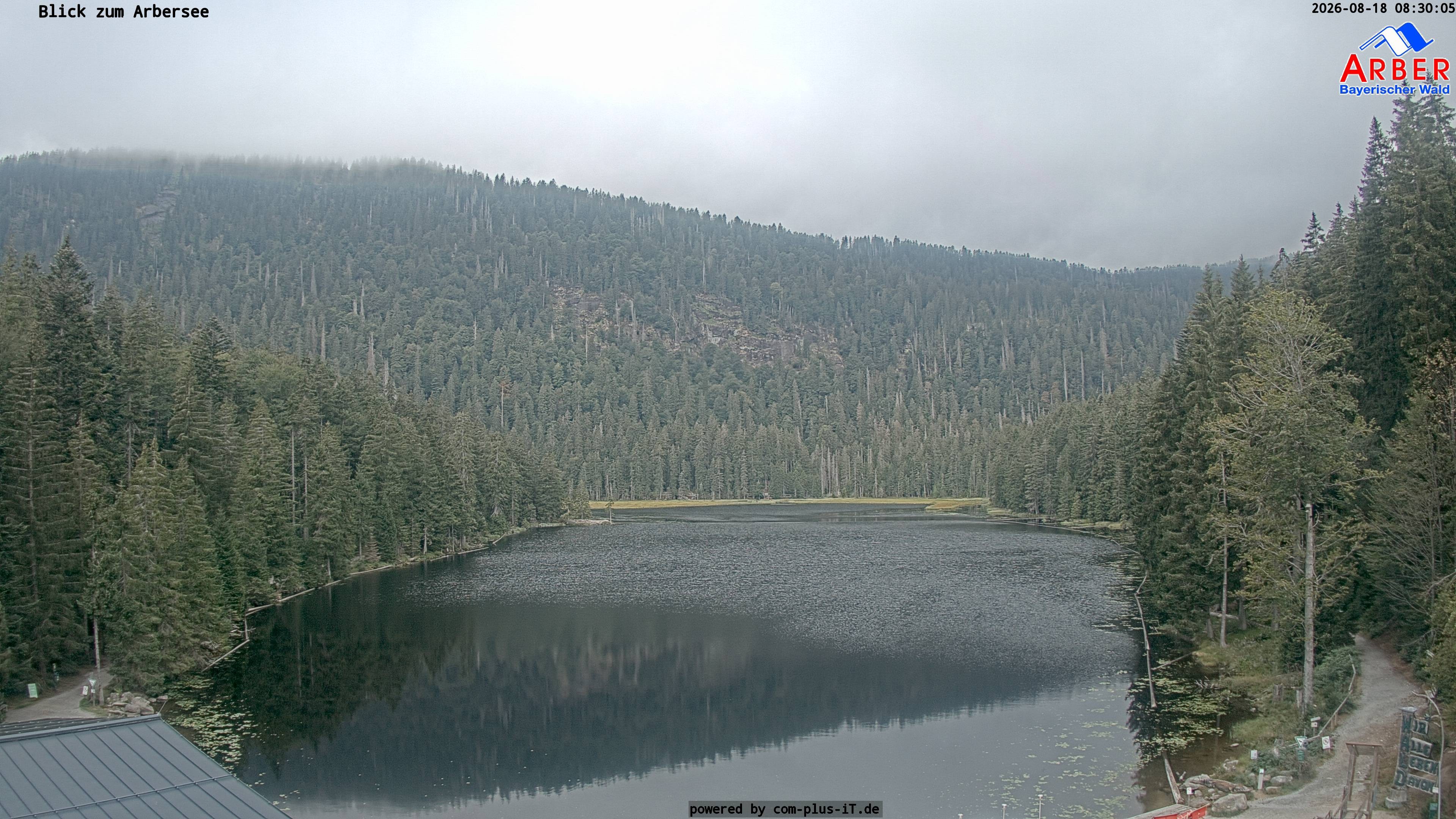 Archiv Foto Webcam Großer Arbersee - Bayerischer Wald