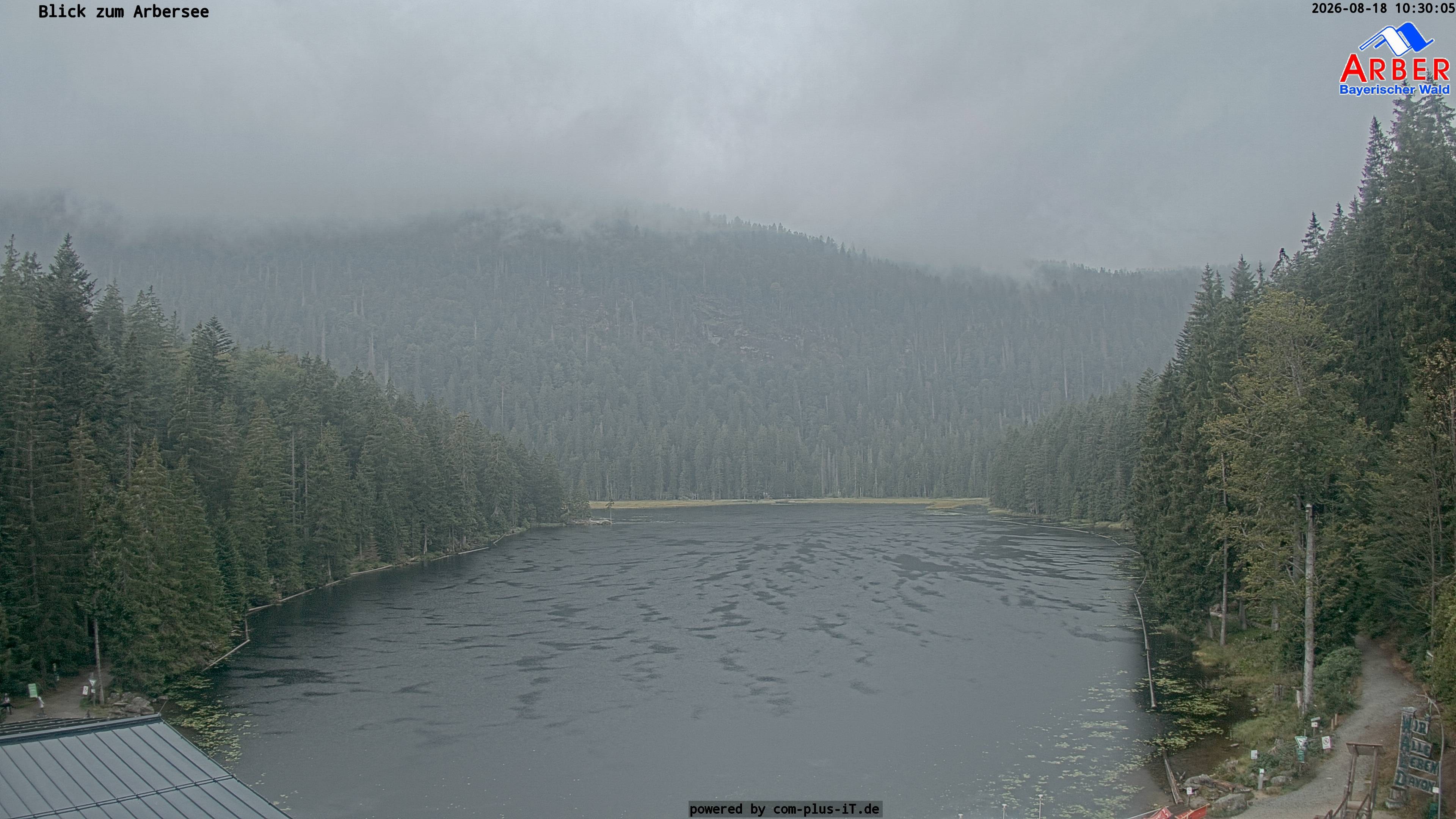 Archiv Foto Webcam Großer Arbersee - Bayerischer Wald