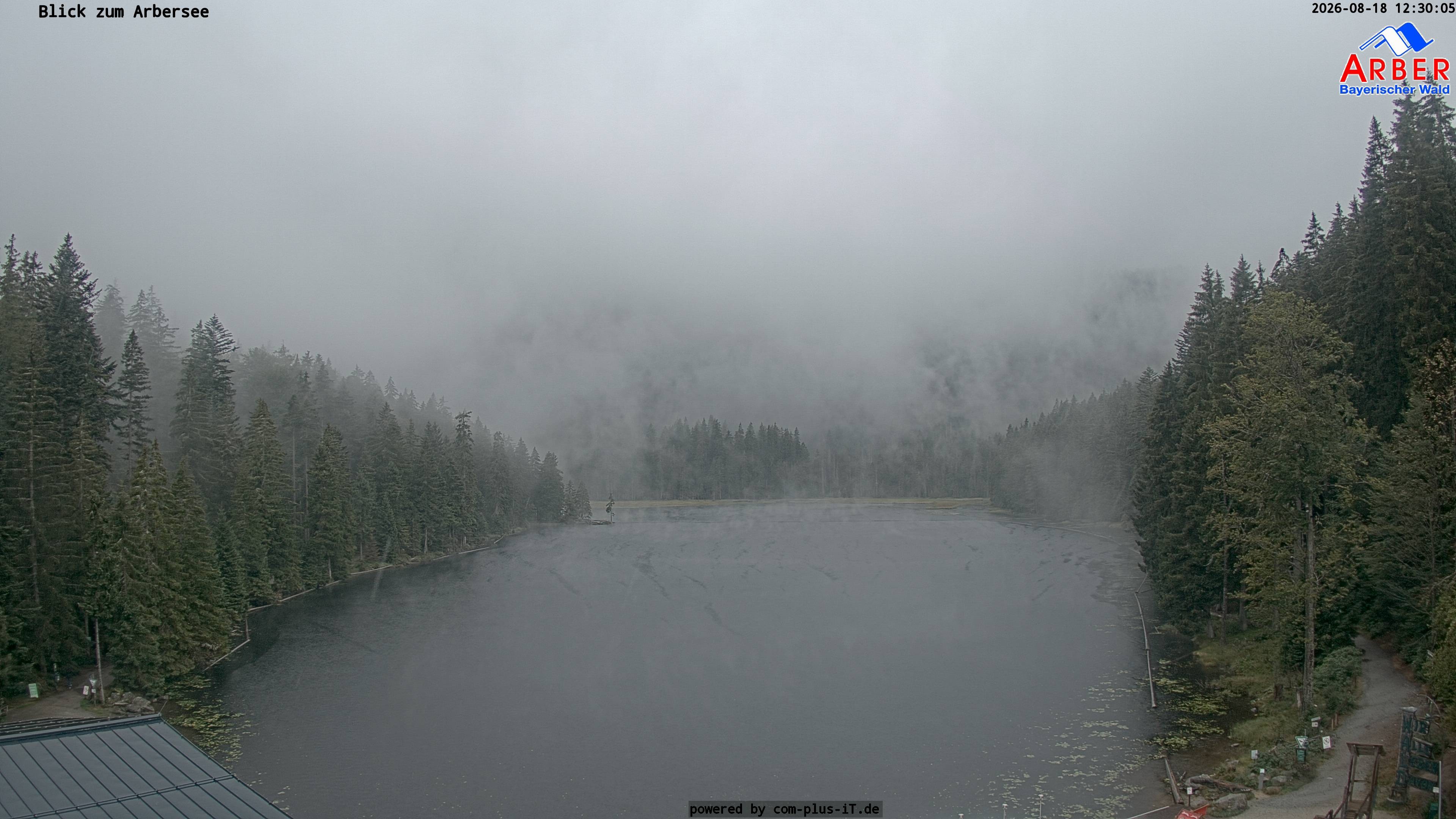 Archiv Foto Webcam Großer Arbersee - Bayerischer Wald