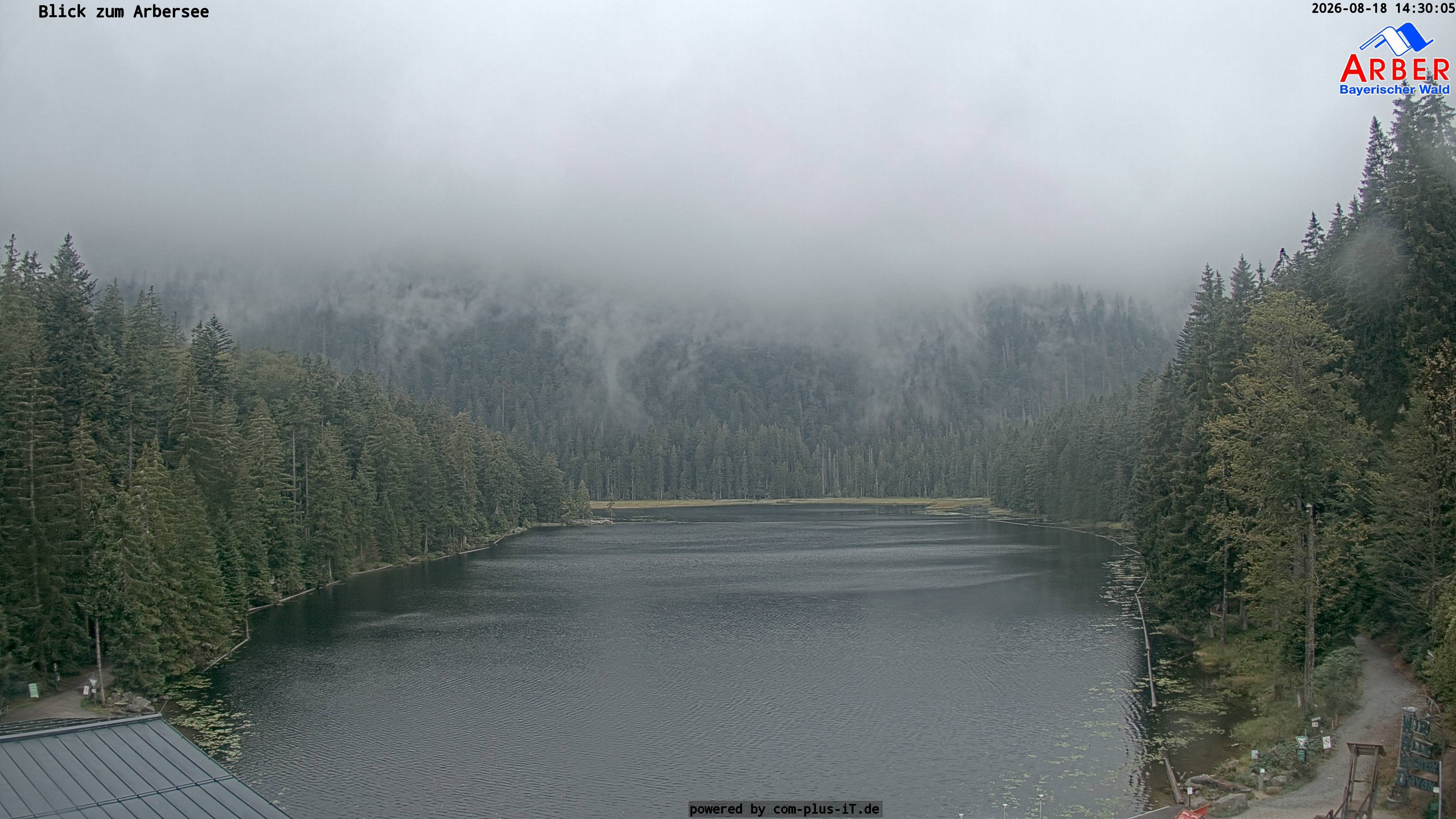 Archiv Foto Webcam Großer Arbersee - Bayerischer Wald