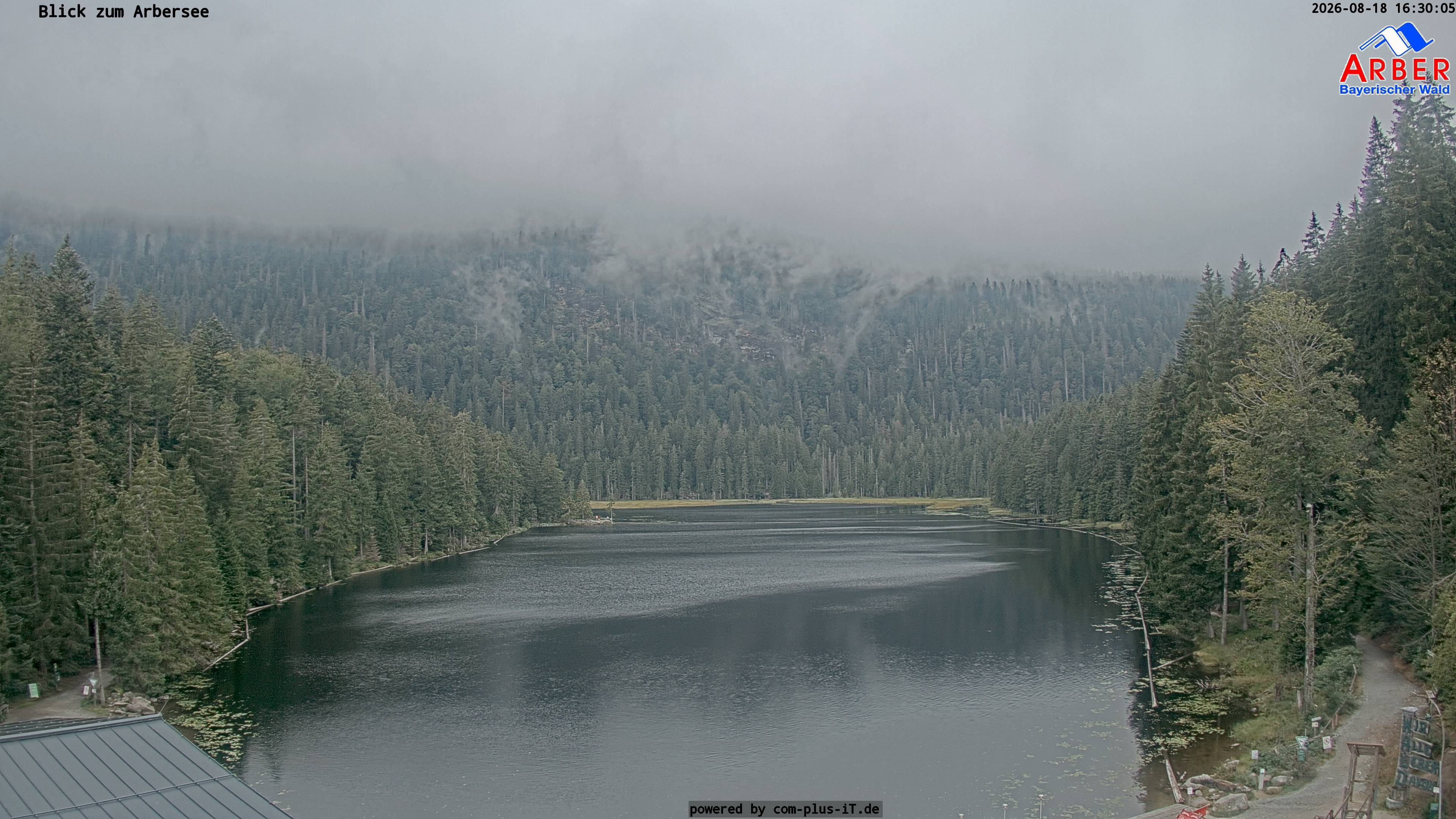 Archiv Foto Webcam Großer Arbersee - Bayerischer Wald