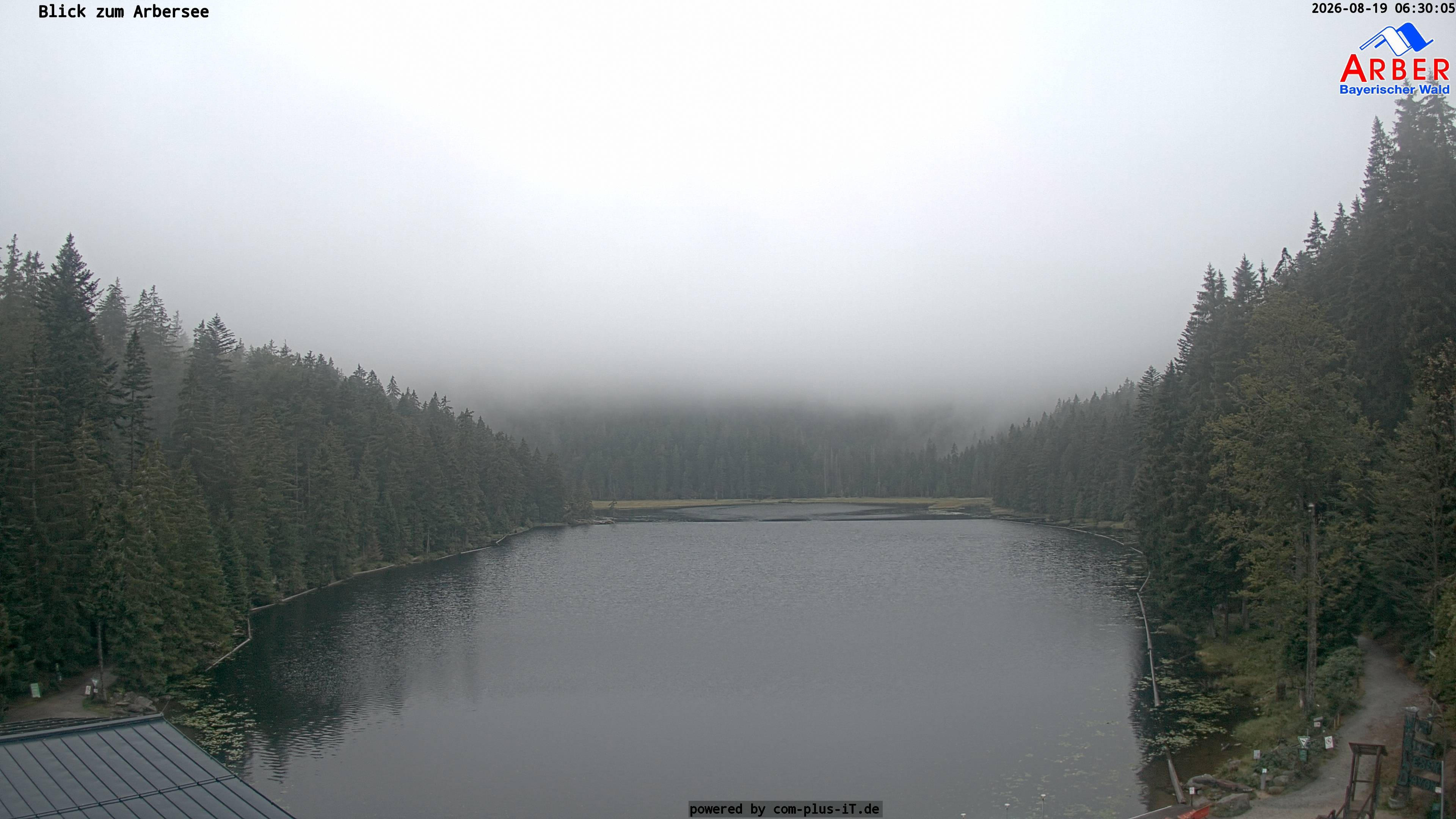 Archiv Foto Webcam Großer Arbersee - Bayerischer Wald