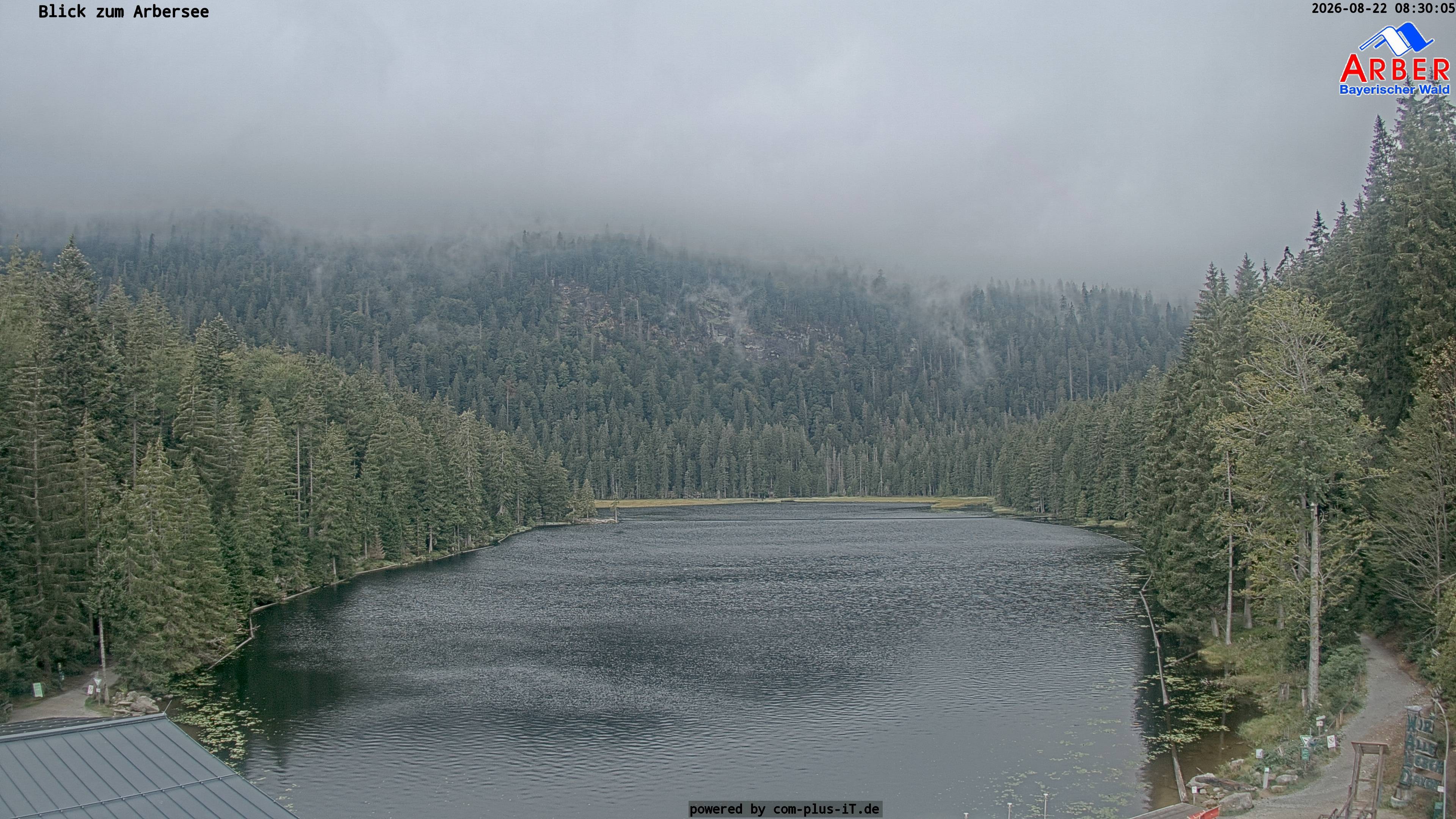 Archived image Webcam Lake "Großer Arbersee" (Bavarian Forest)