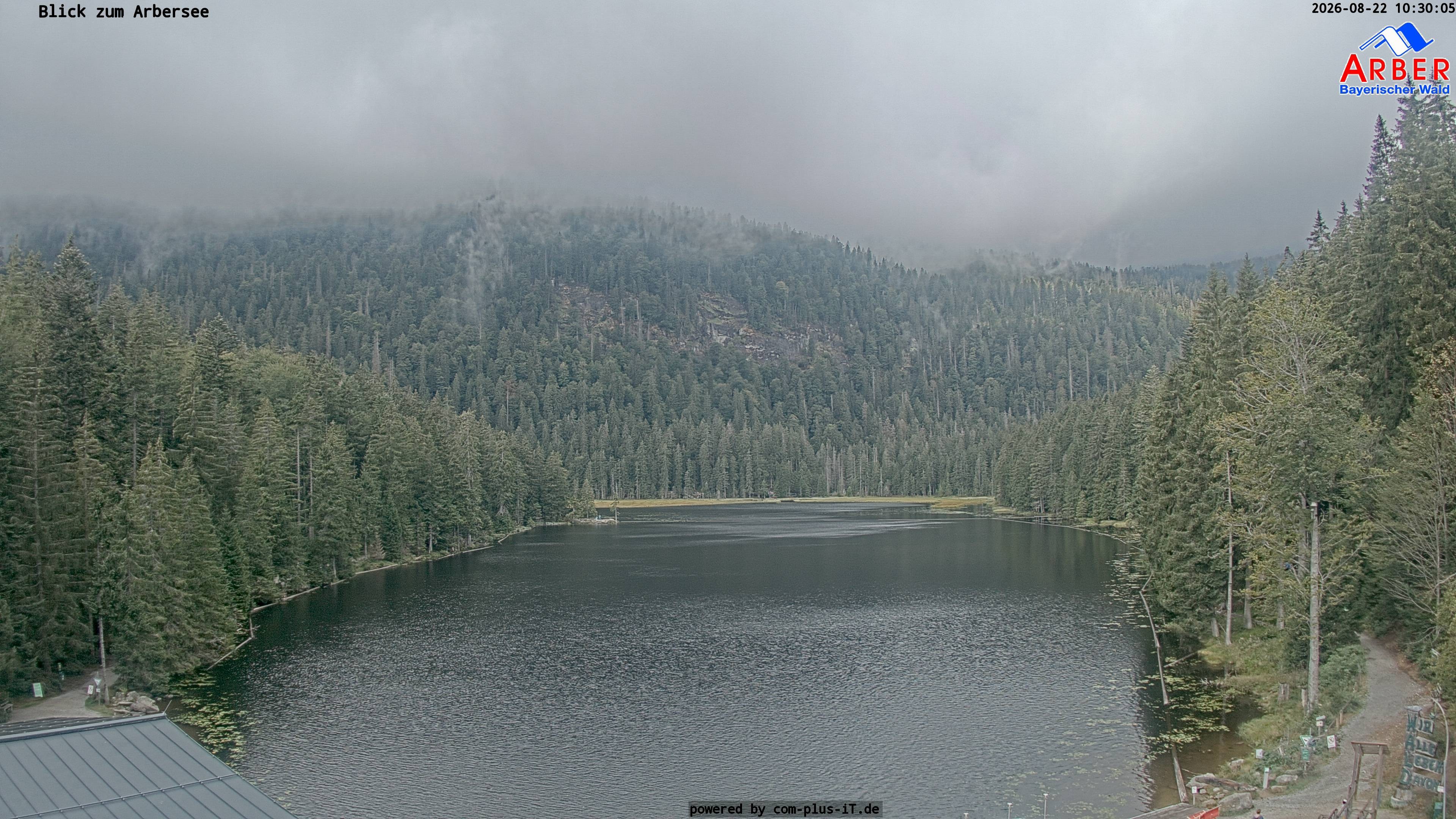 Archived image Webcam Lake "Großer Arbersee" (Bavarian Forest)