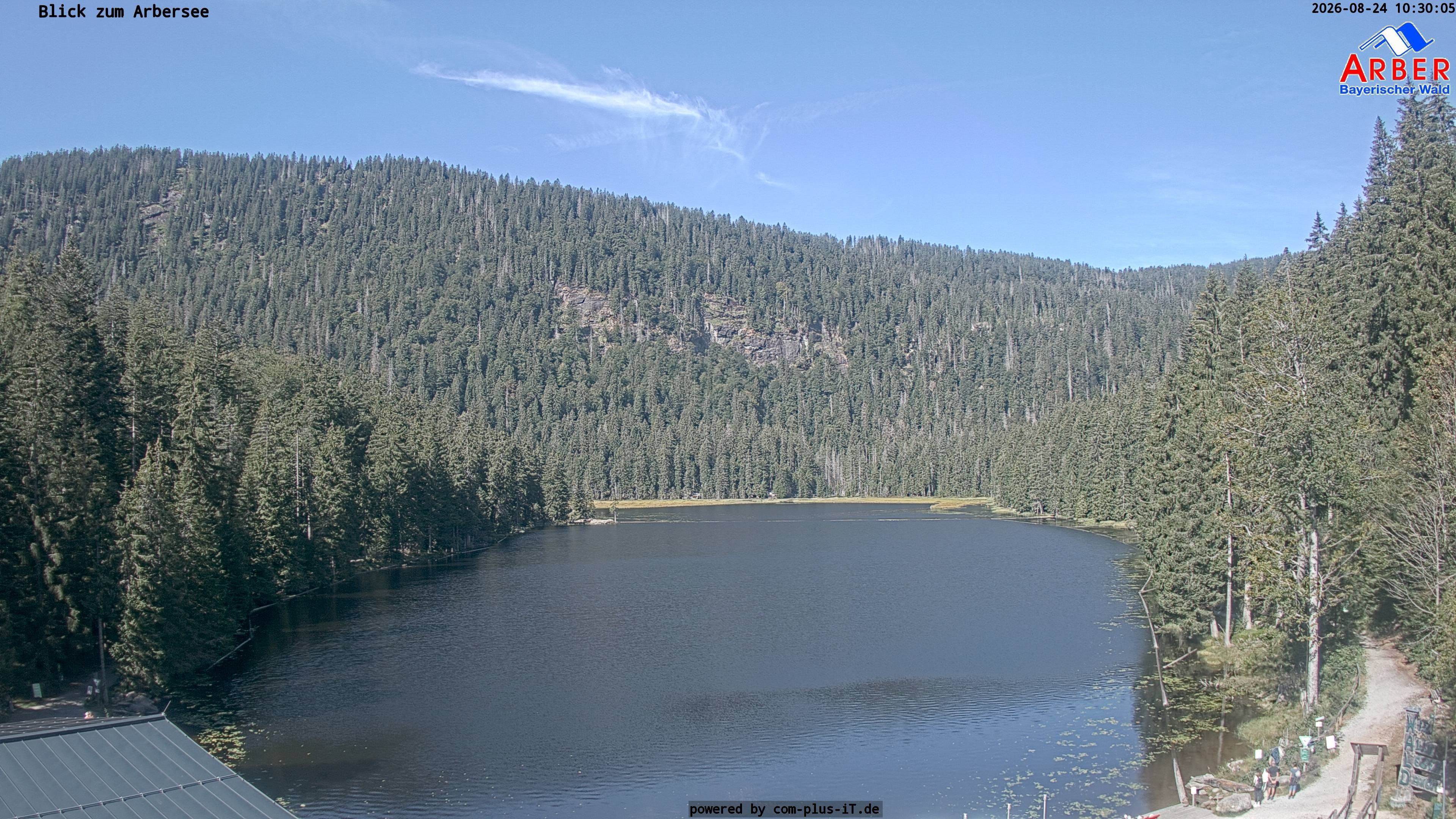 Archiv Foto Webcam Großer Arbersee - Bayerischer Wald
