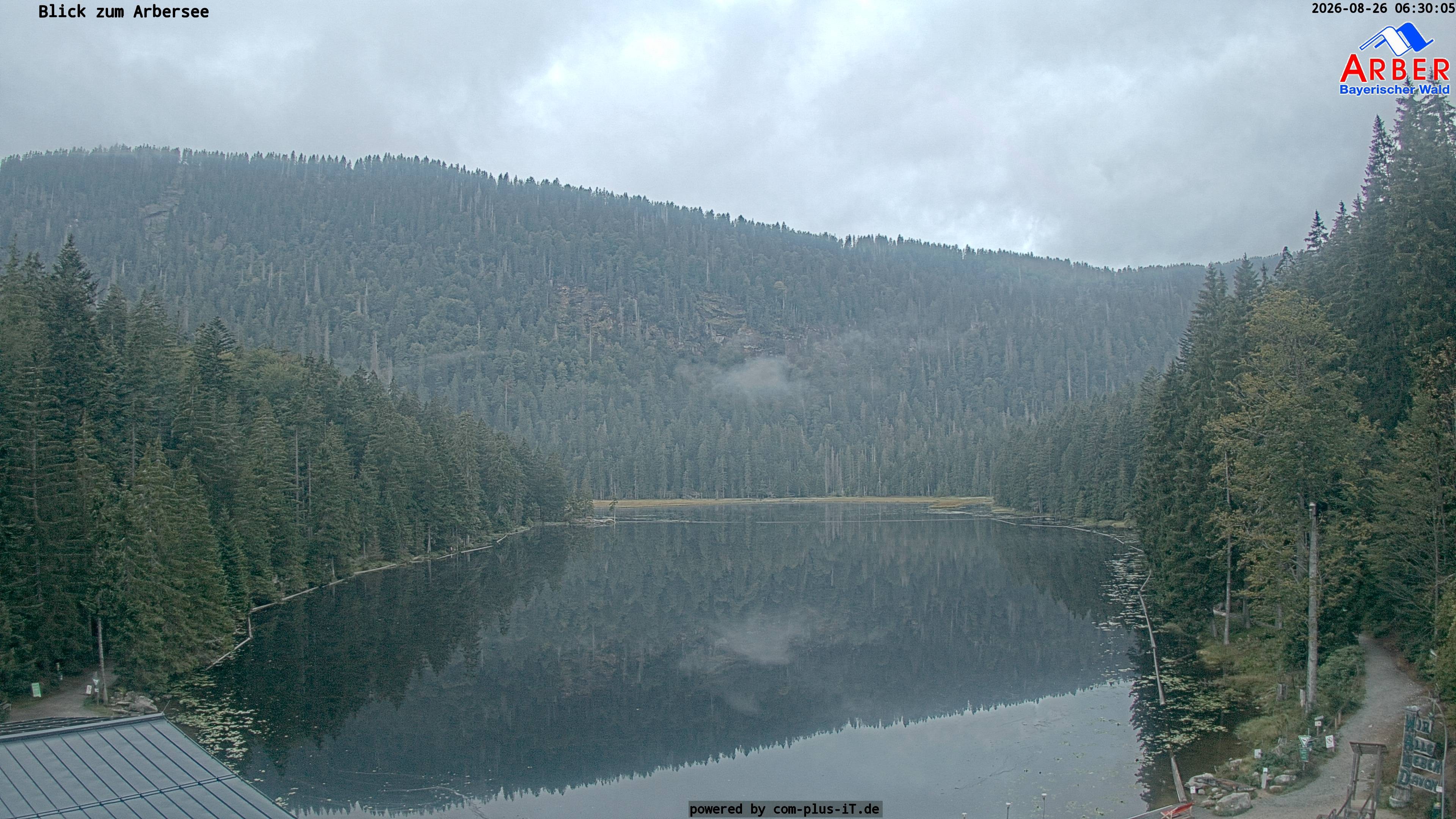 Archiv Foto Webcam Großer Arbersee - Bayerischer Wald
