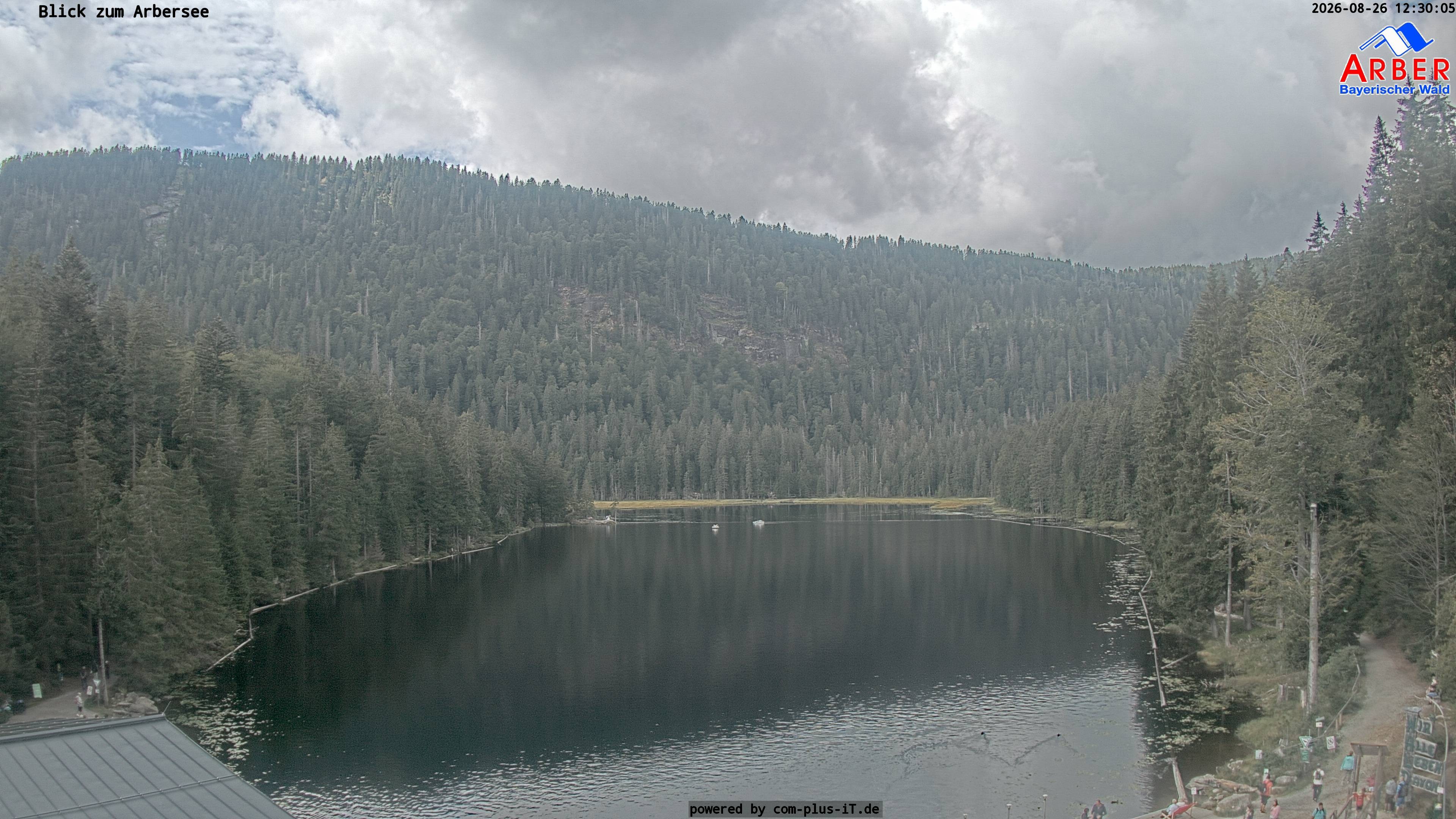 Archiv Foto Webcam Großer Arbersee - Bayerischer Wald