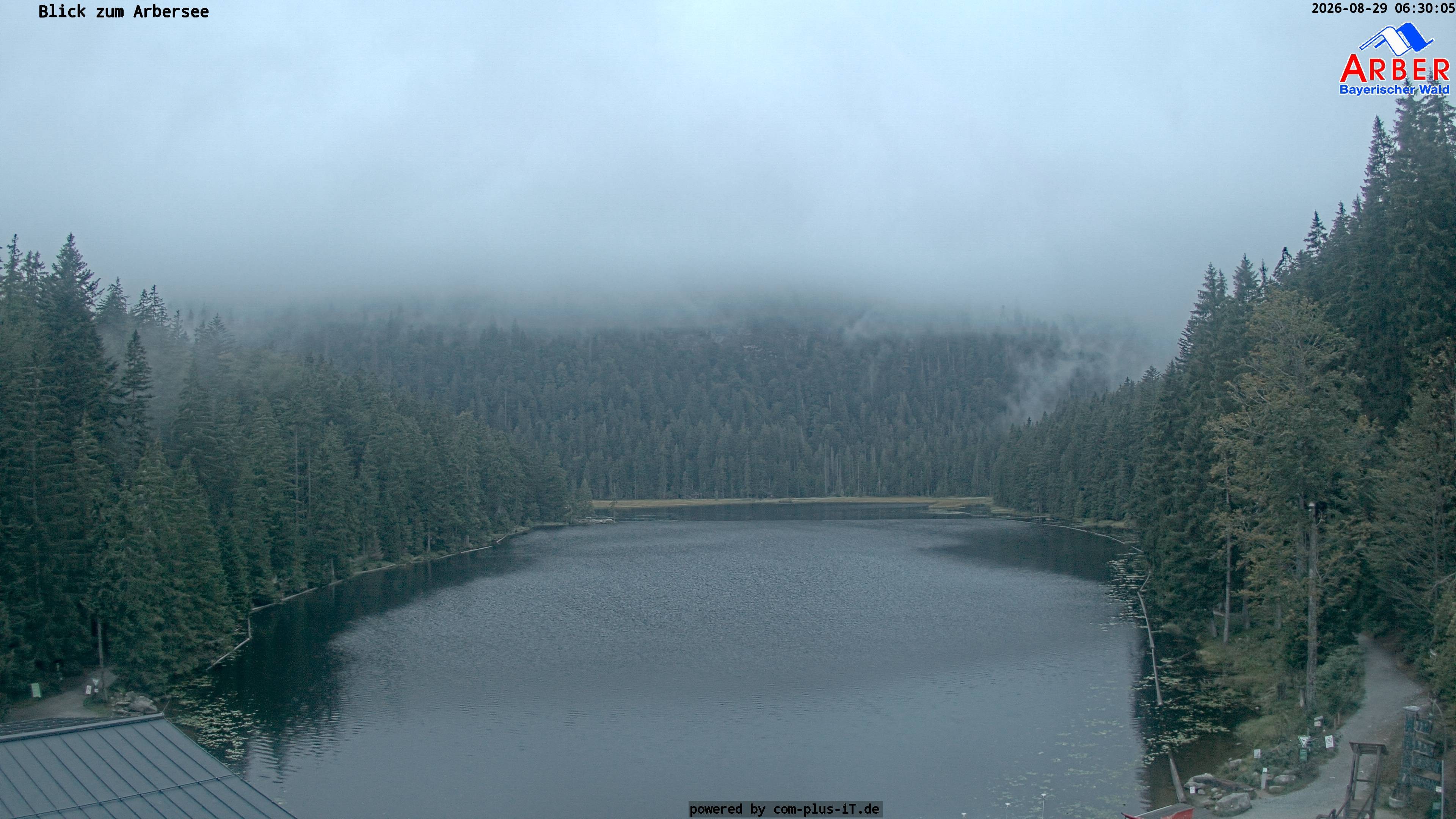 Archiv Foto Webcam Großer Arbersee - Bayerischer Wald