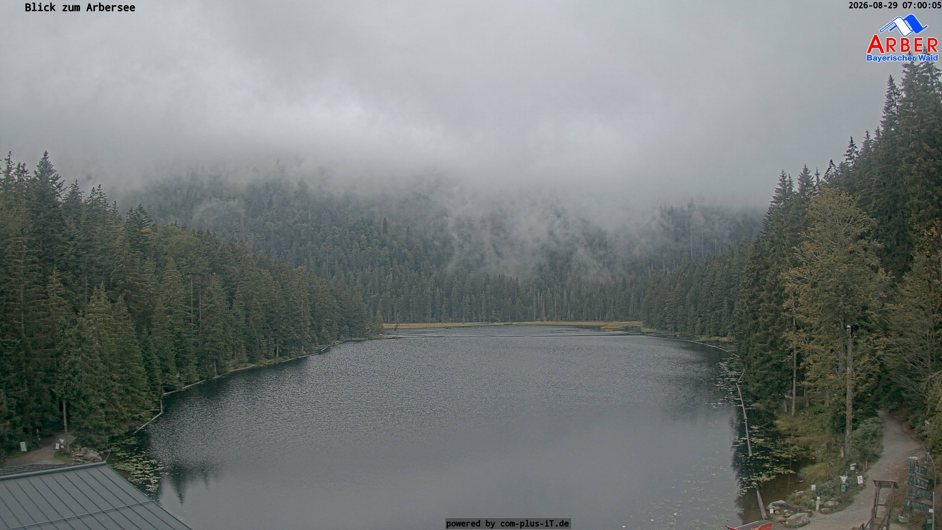 Archiv Foto Webcam Großer Arbersee - Bayerischer Wald