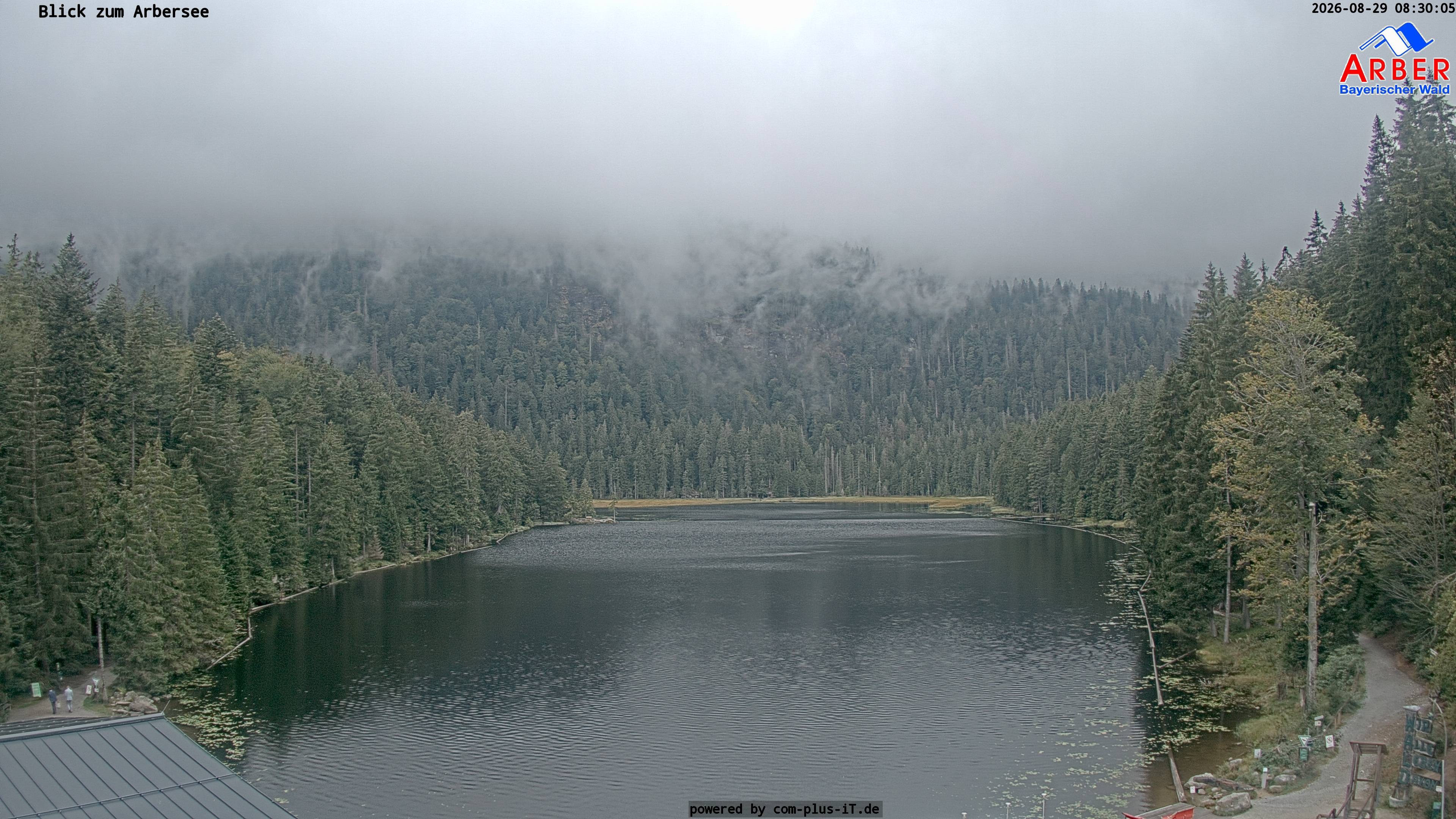 Archiv Foto Webcam Großer Arbersee - Bayerischer Wald