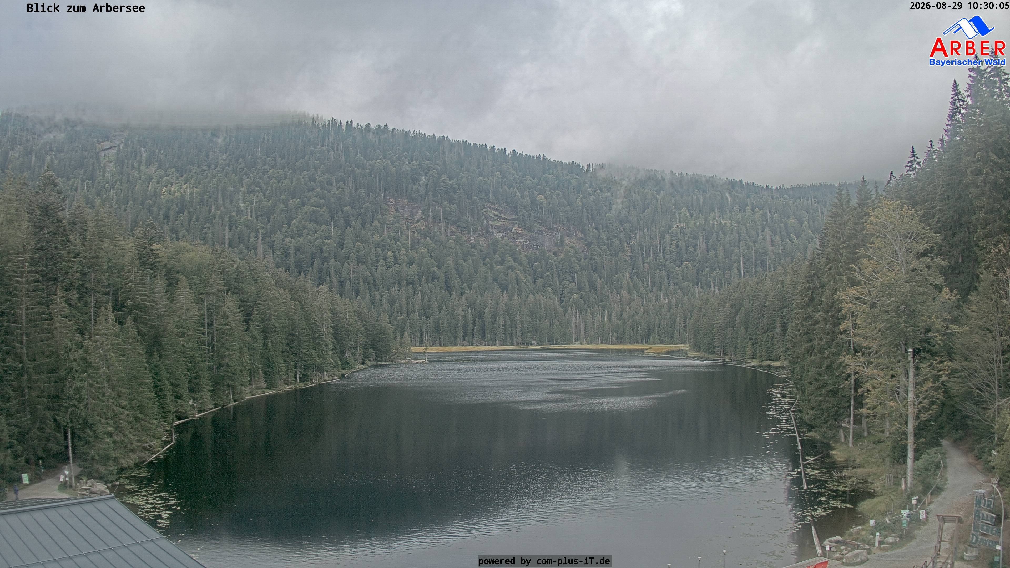 Archiv Foto Webcam Großer Arbersee - Bayerischer Wald