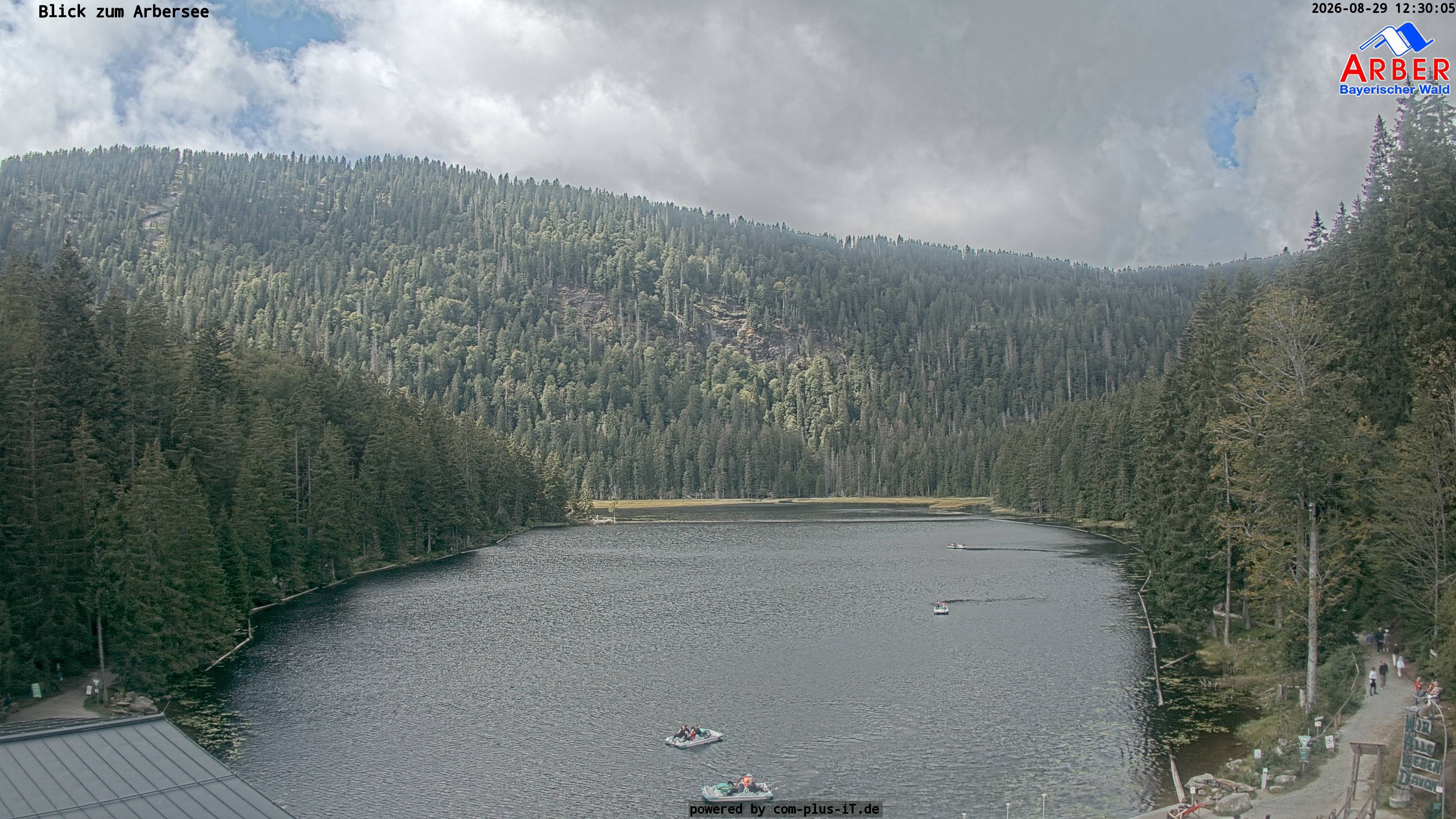 Archiv Foto Webcam Großer Arbersee - Bayerischer Wald