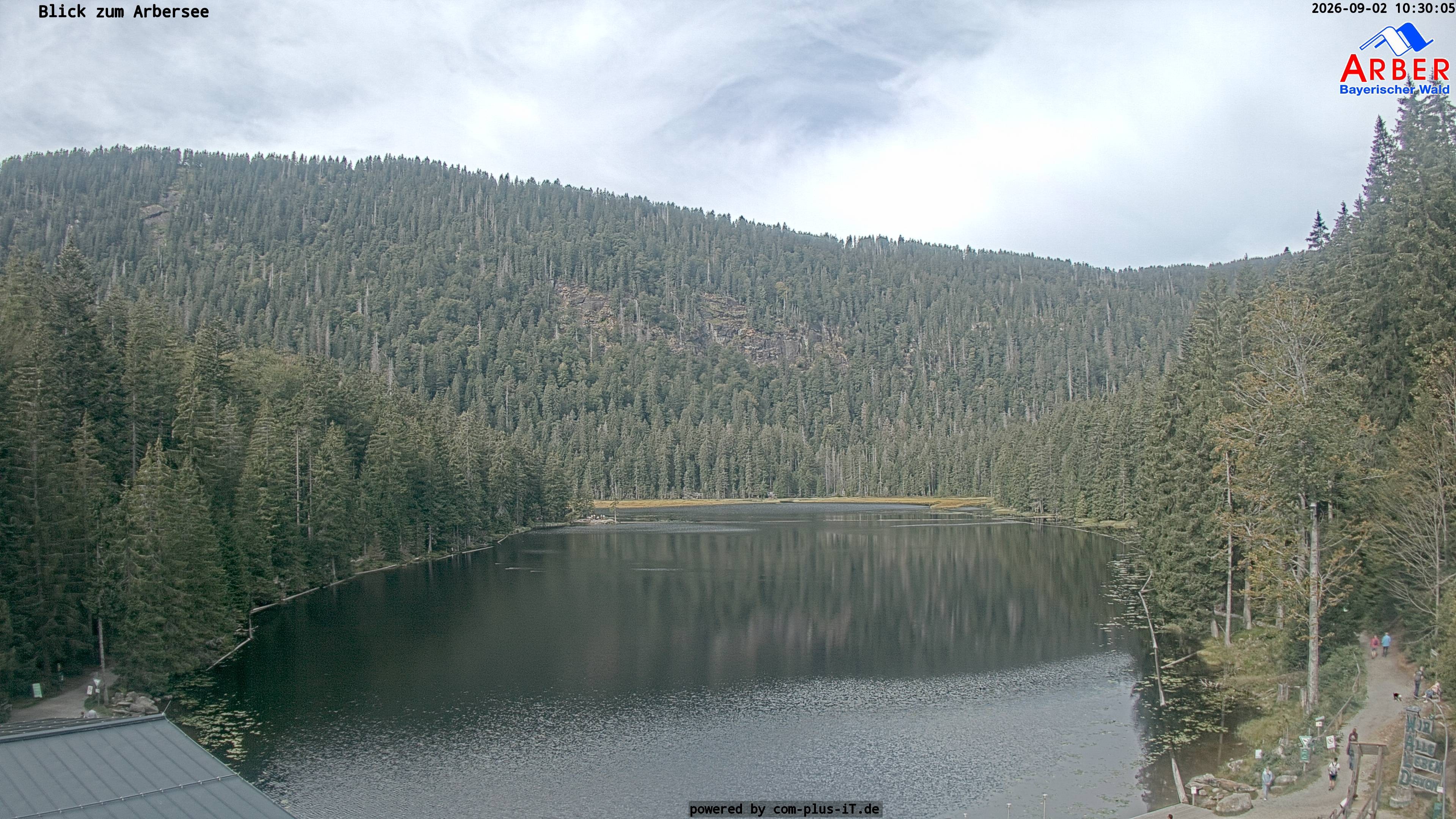 Archived image Webcam Lake "Großer Arbersee" (Bavarian Forest)