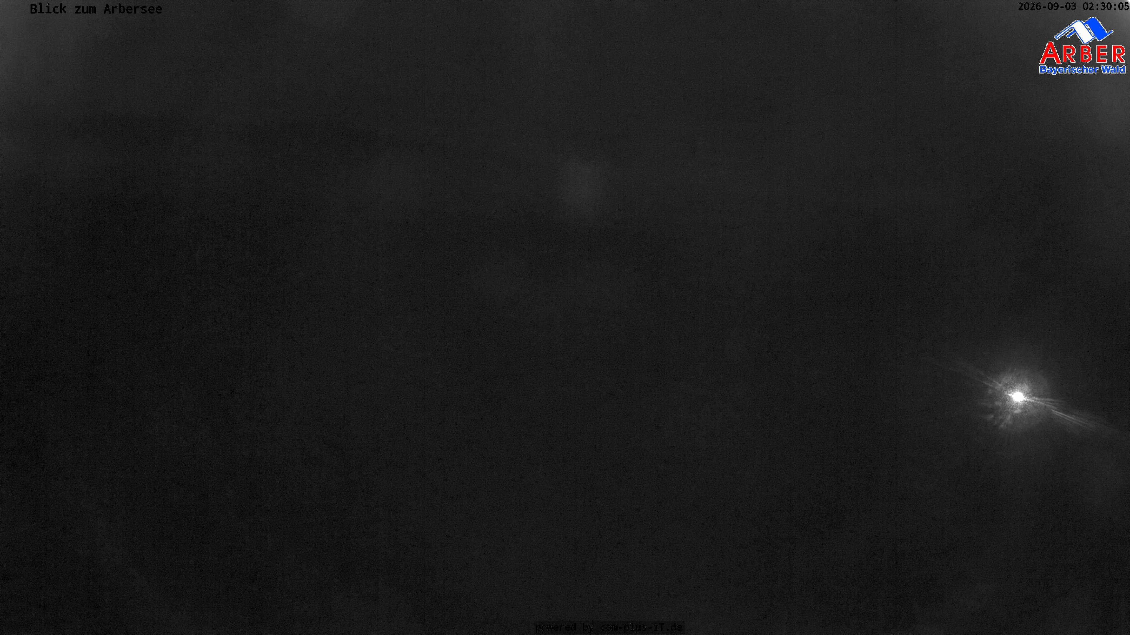 Archived image Webcam Lake "Großer Arbersee" (Bavarian Forest)