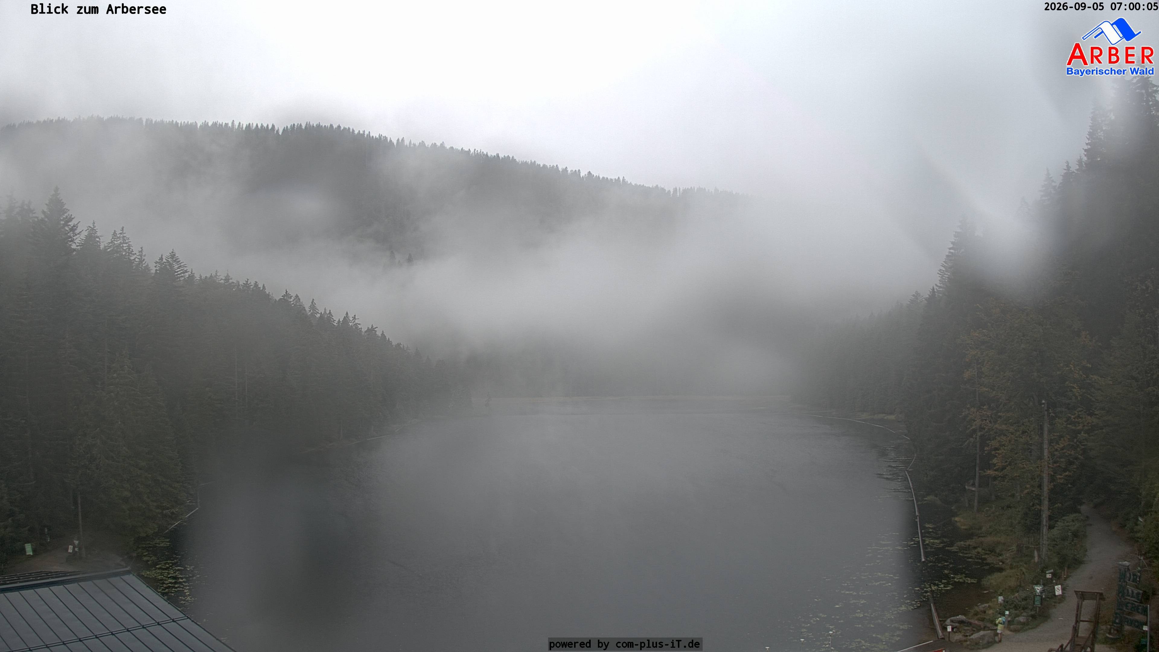 Archiv Foto Webcam Großer Arbersee - Bayerischer Wald
