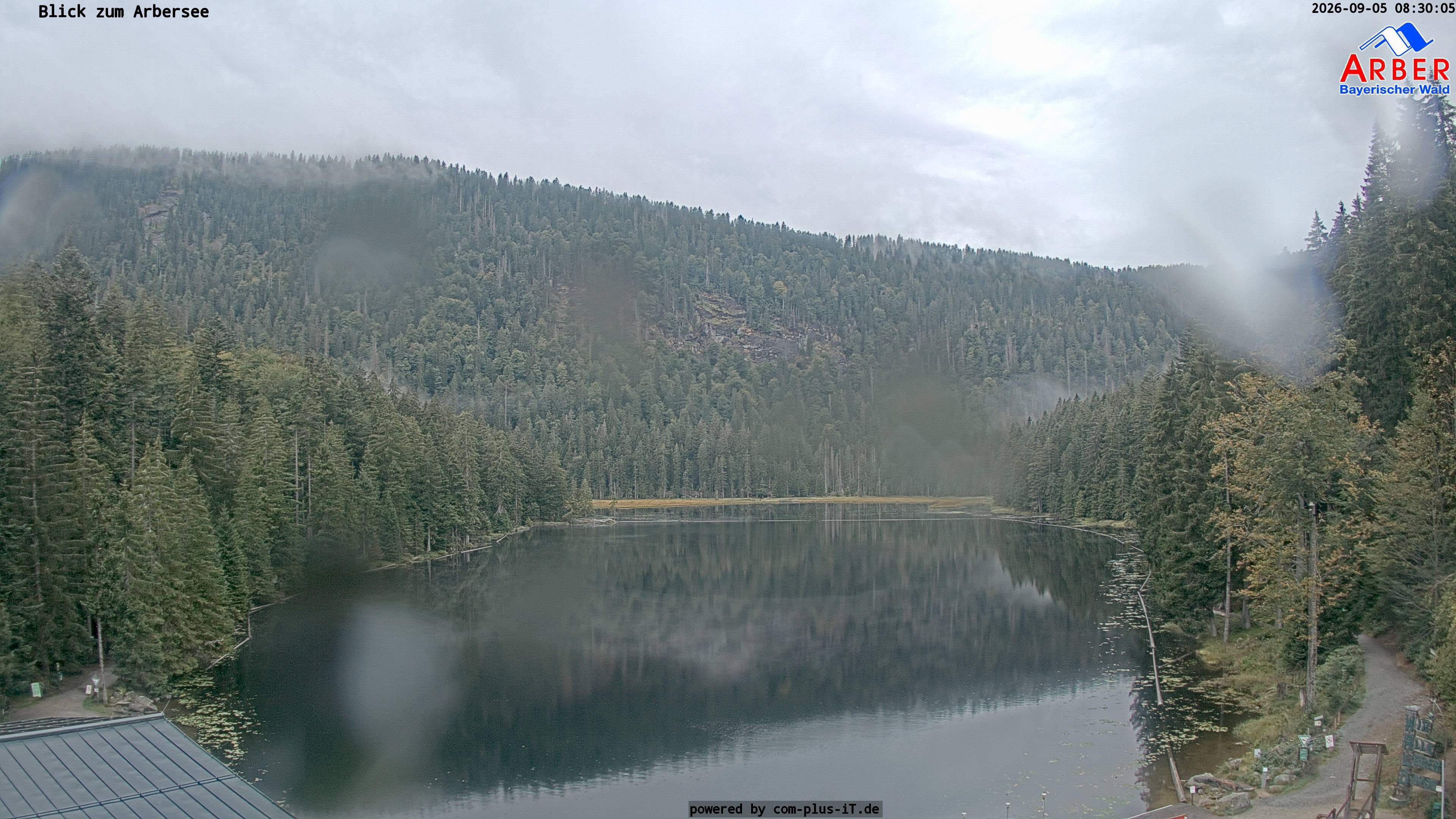Archiv Foto Webcam Großer Arbersee - Bayerischer Wald
