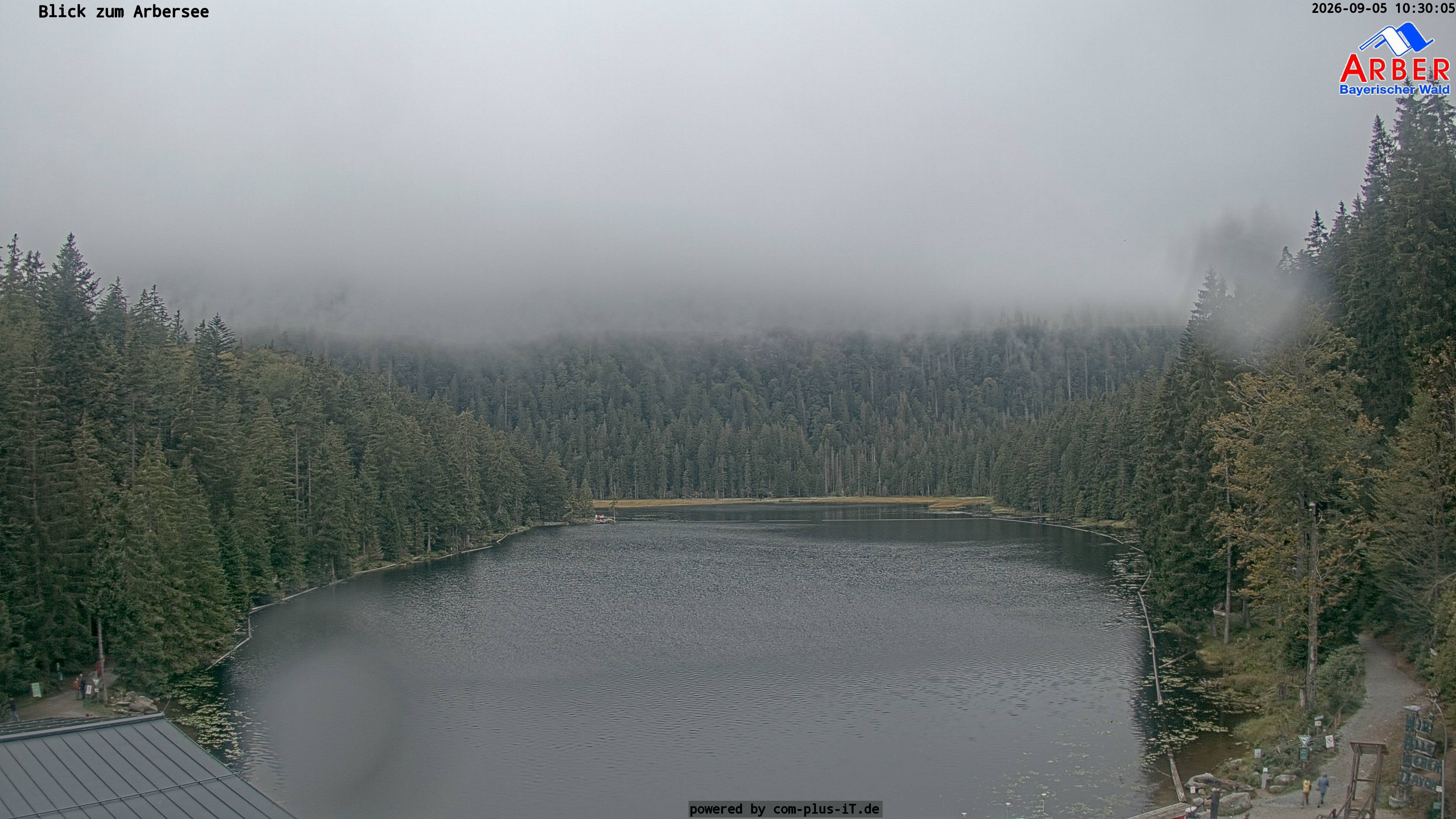 Archiv Foto Webcam Großer Arbersee - Bayerischer Wald
