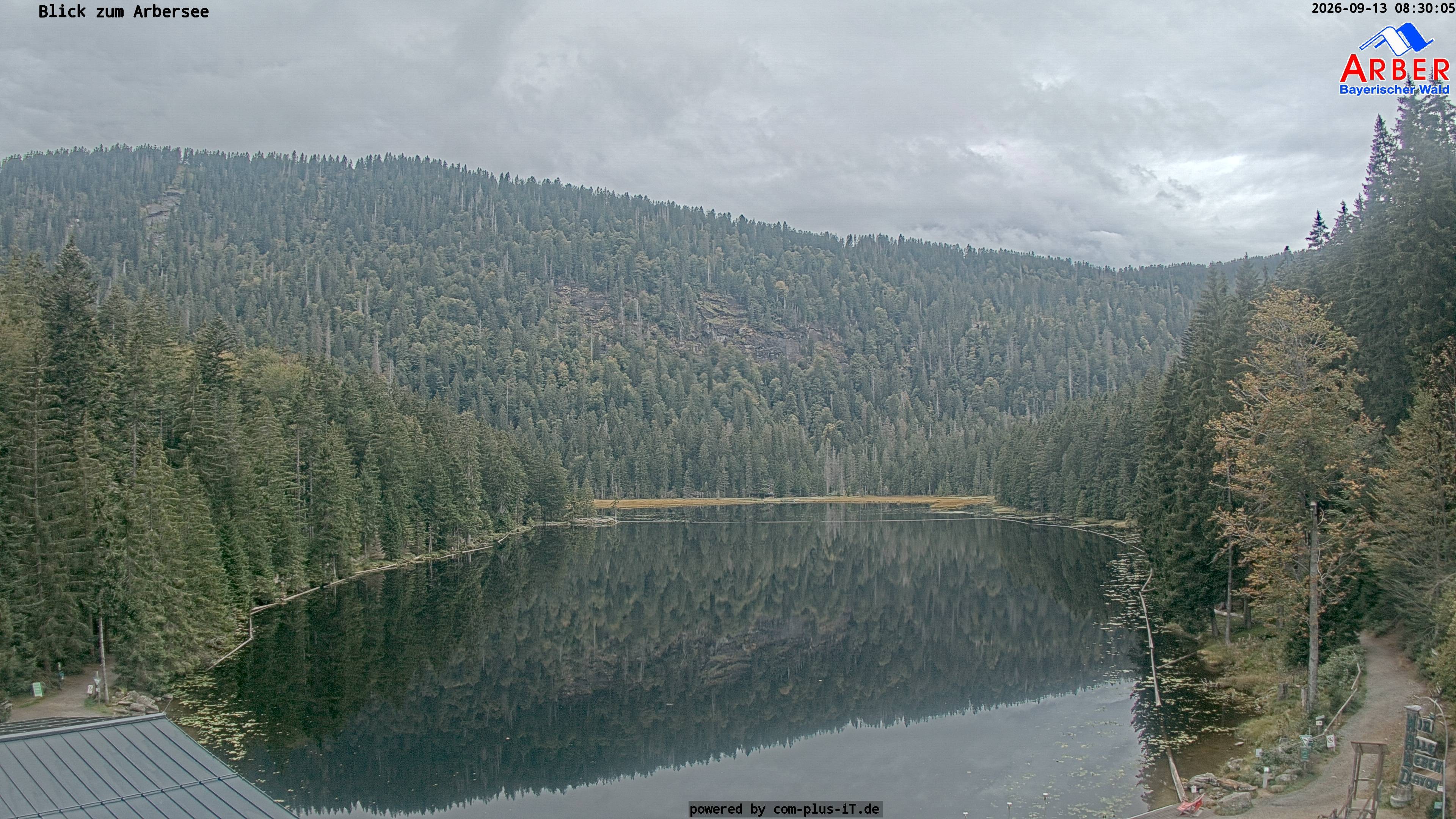 Archiv Foto Webcam Großer Arbersee - Bayerischer Wald
