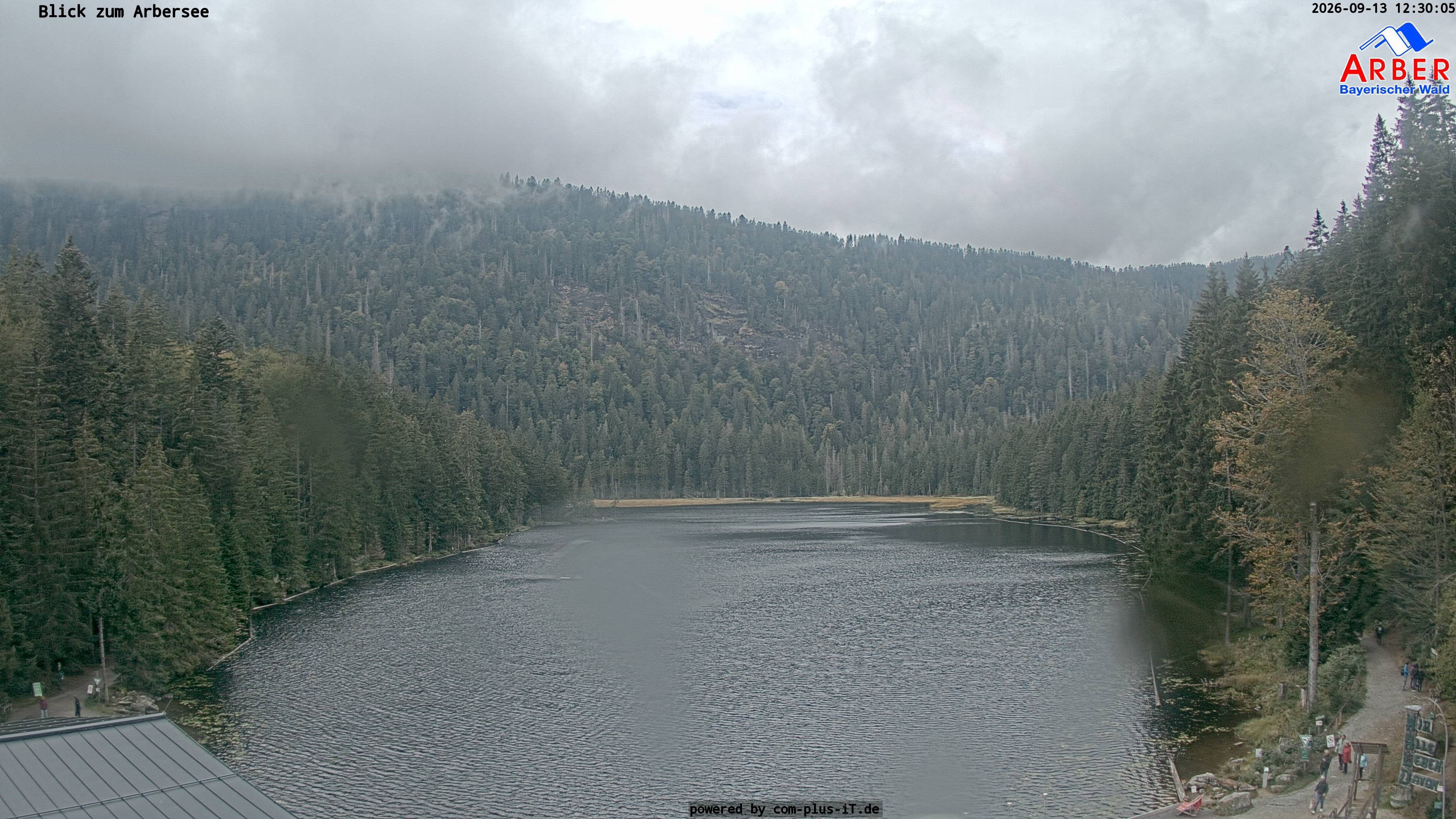 Archiv Foto Webcam Großer Arbersee - Bayerischer Wald