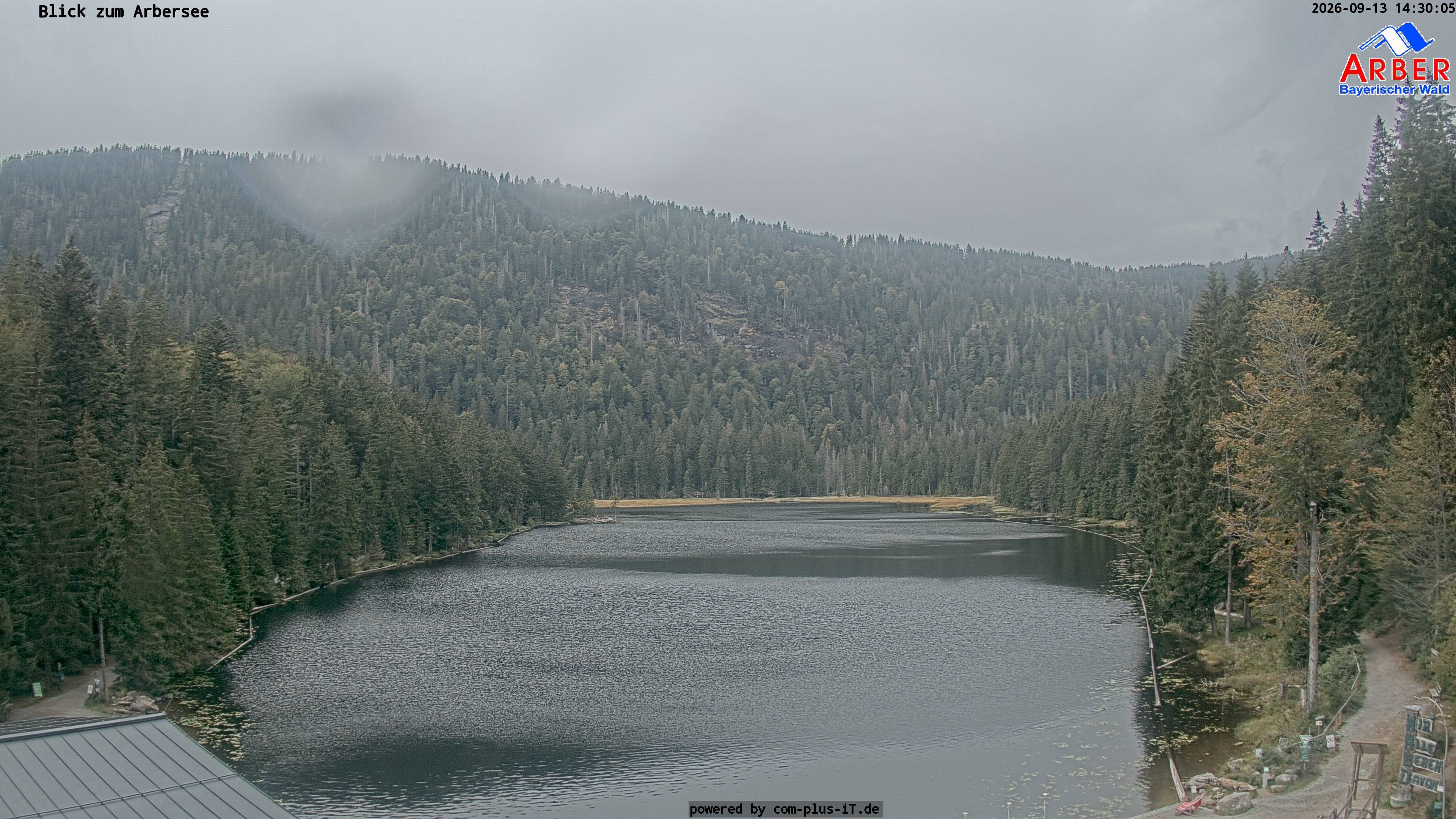 Archiv Foto Webcam Großer Arbersee - Bayerischer Wald
