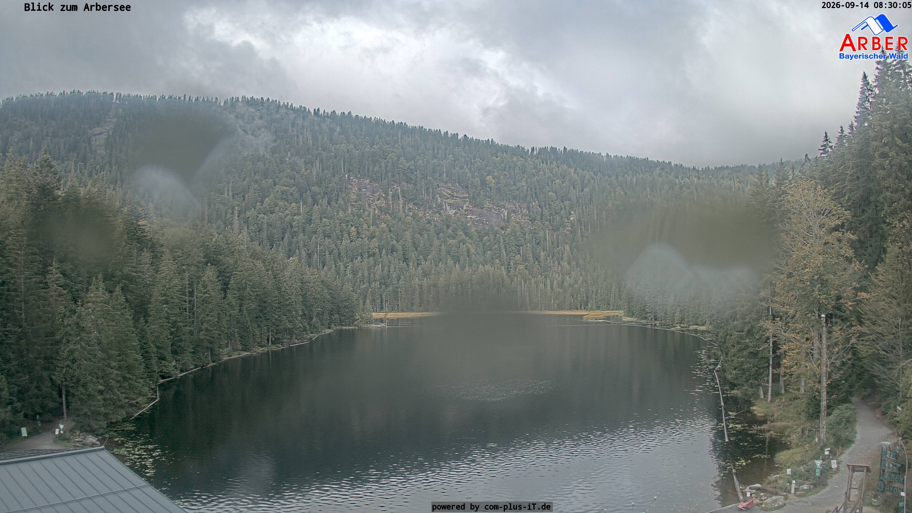 Archiv Foto Webcam Großer Arbersee - Bayerischer Wald