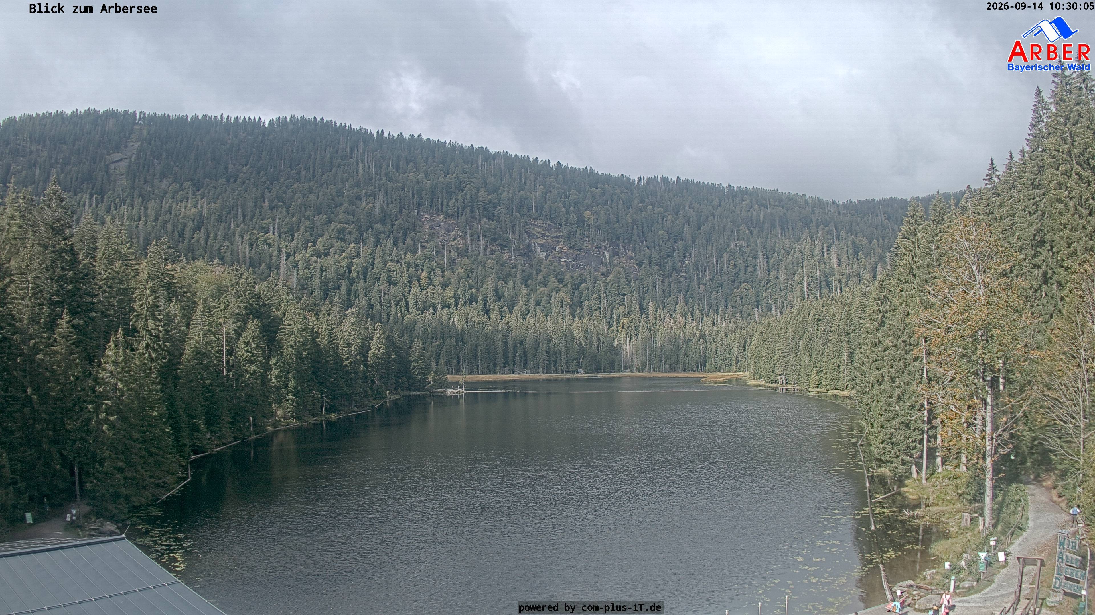 Archiv Foto Webcam Großer Arbersee - Bayerischer Wald