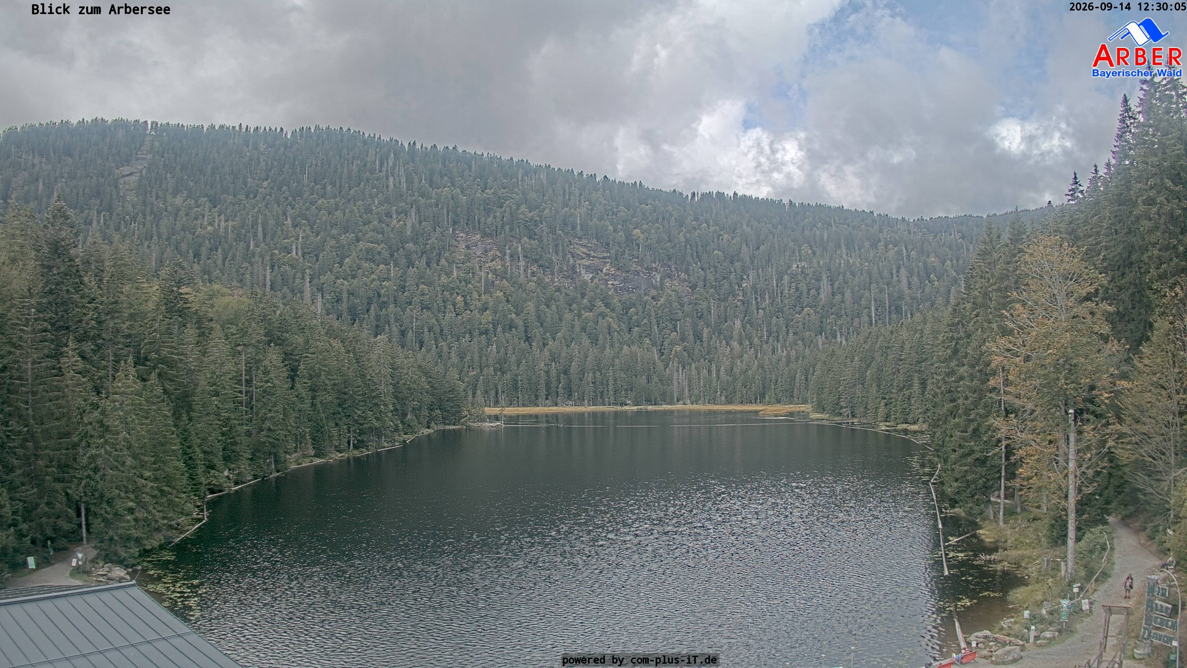 Archiv Foto Webcam Großer Arbersee - Bayerischer Wald