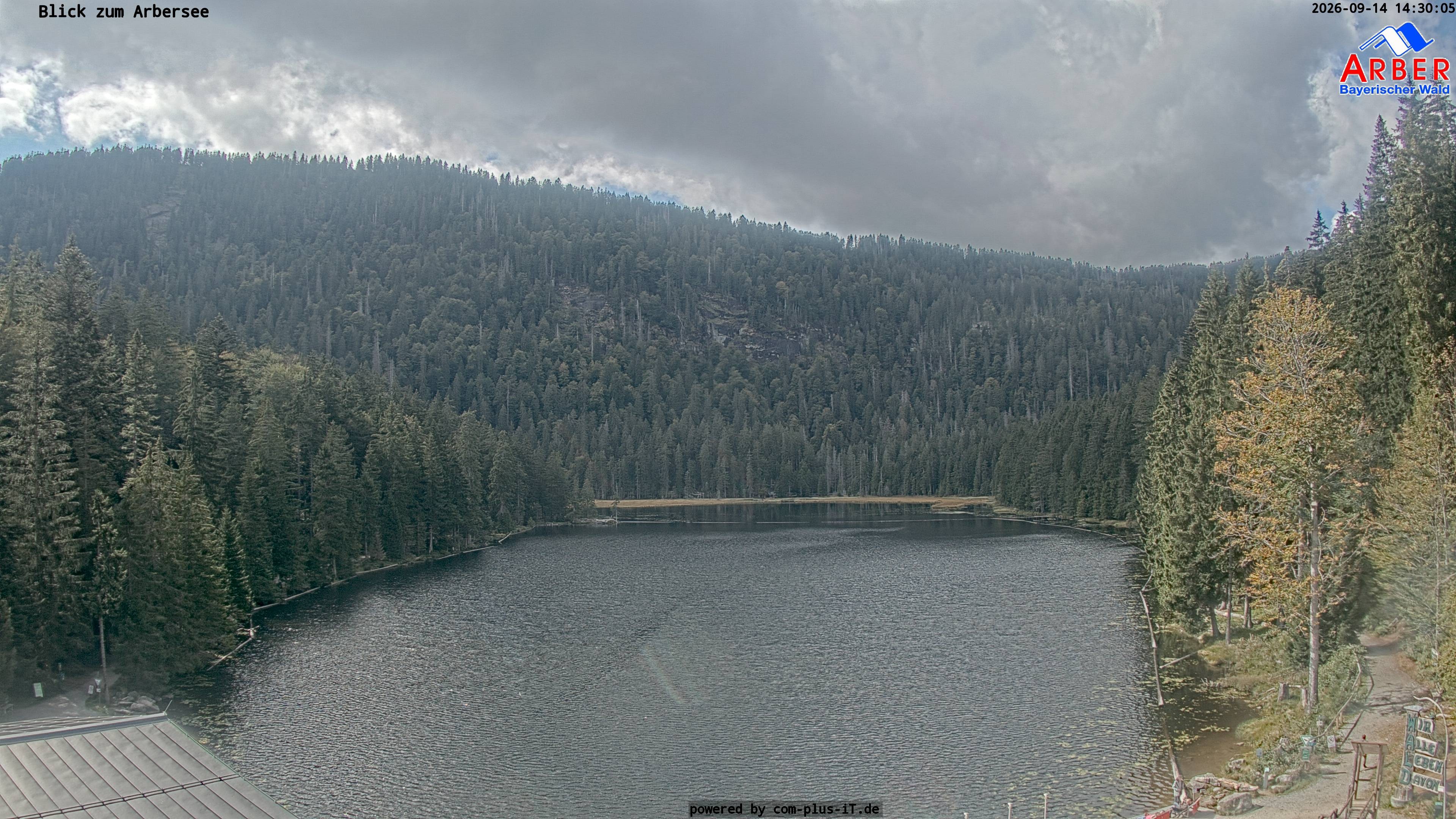 Archiv Foto Webcam Großer Arbersee - Bayerischer Wald