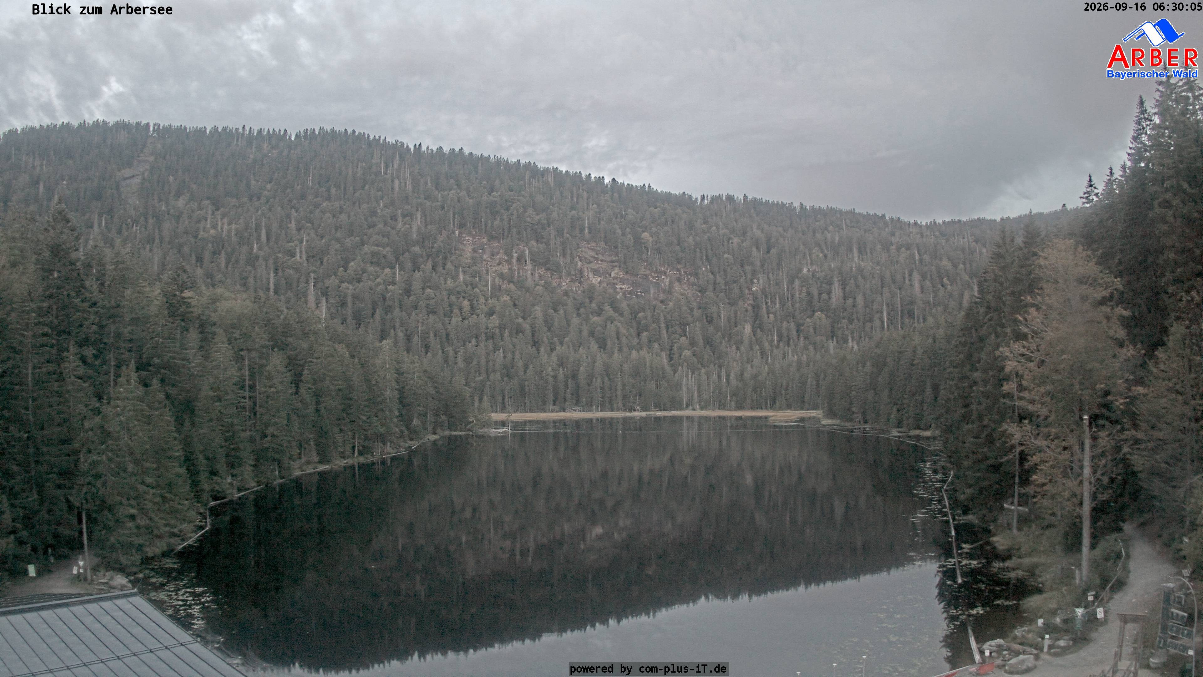 Archiv Foto Webcam Großer Arbersee - Bayerischer Wald