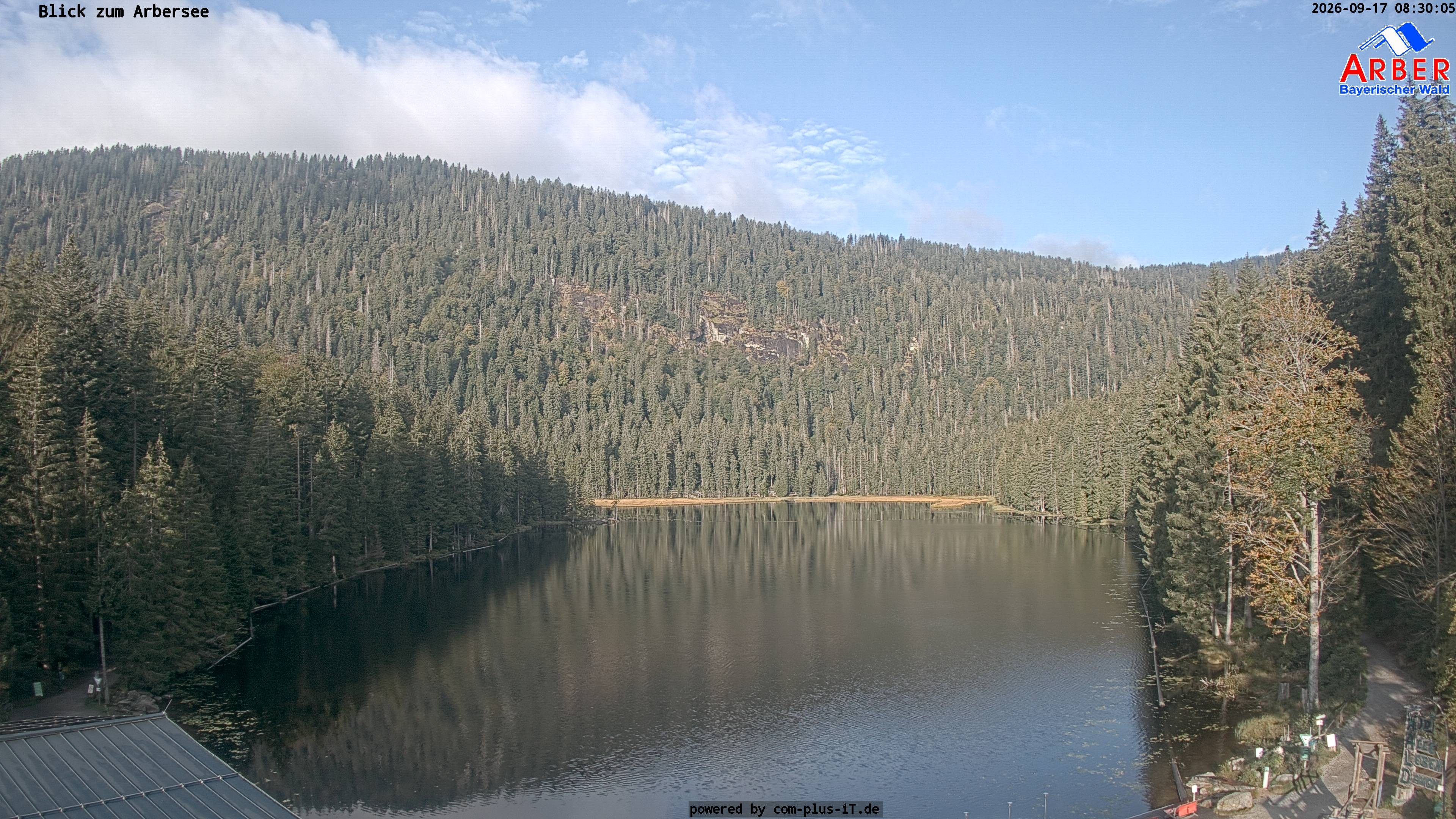 Archiv Foto Webcam Großer Arbersee - Bayerischer Wald