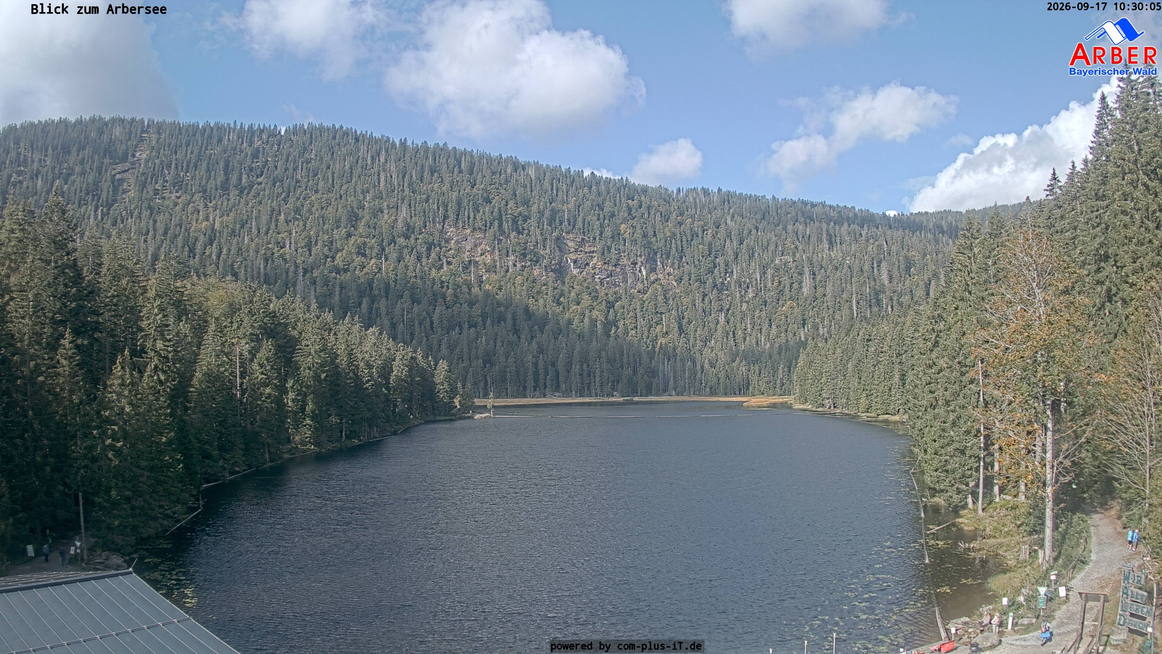 Archiv Foto Webcam Großer Arbersee - Bayerischer Wald