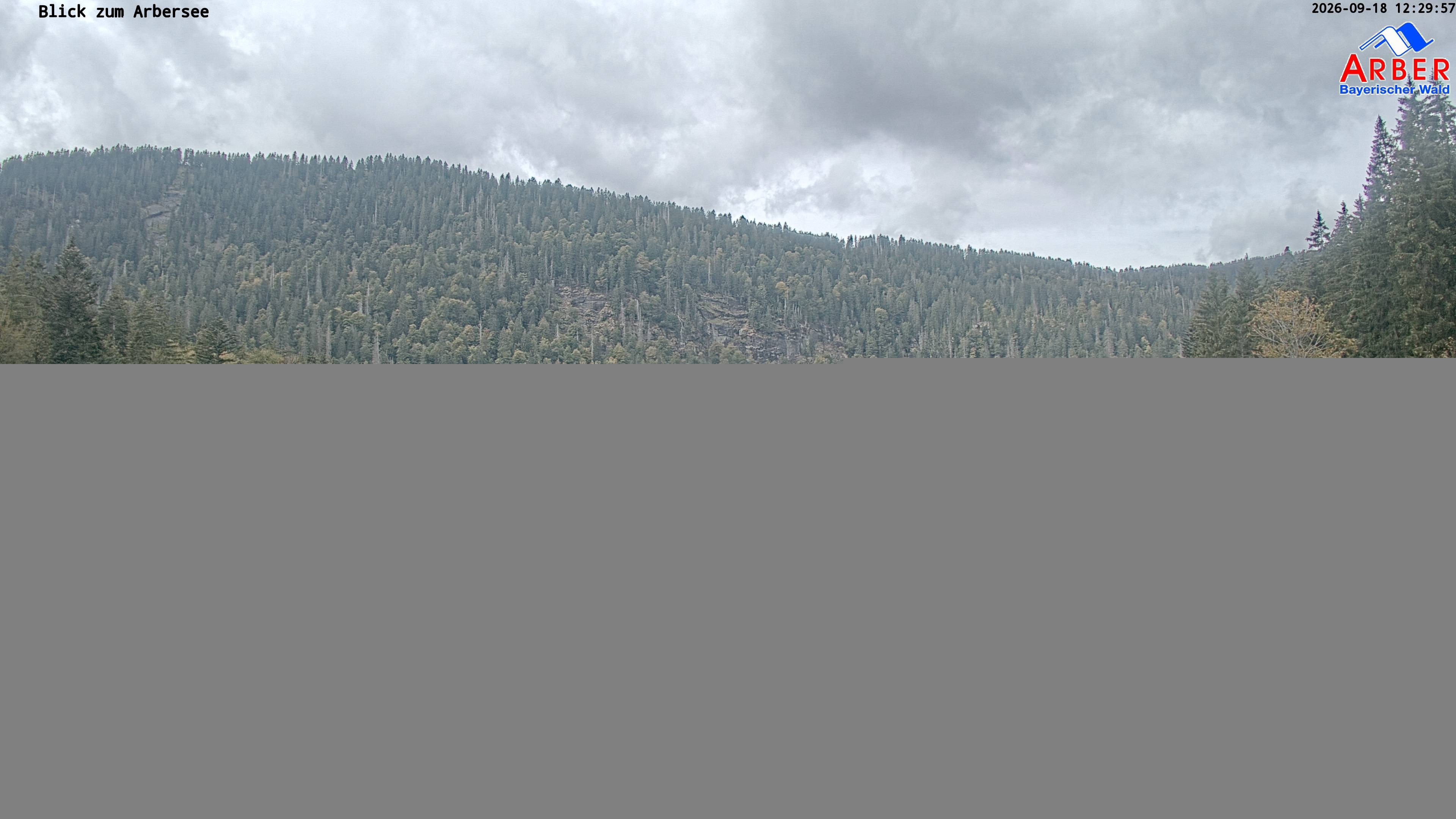 Archiv Foto Webcam Großer Arbersee - Bayerischer Wald