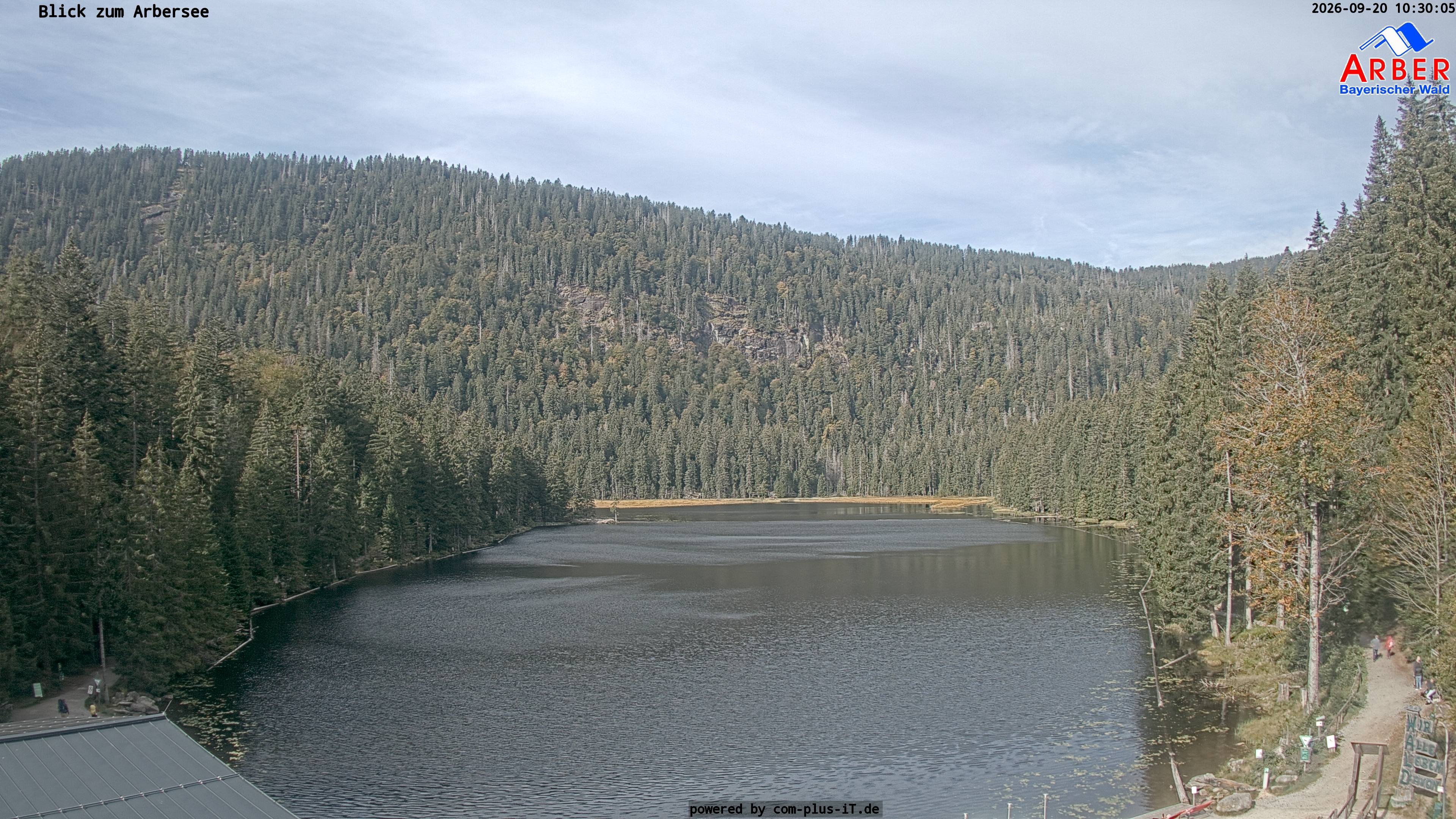 Archiv Foto Webcam Großer Arbersee - Bayerischer Wald