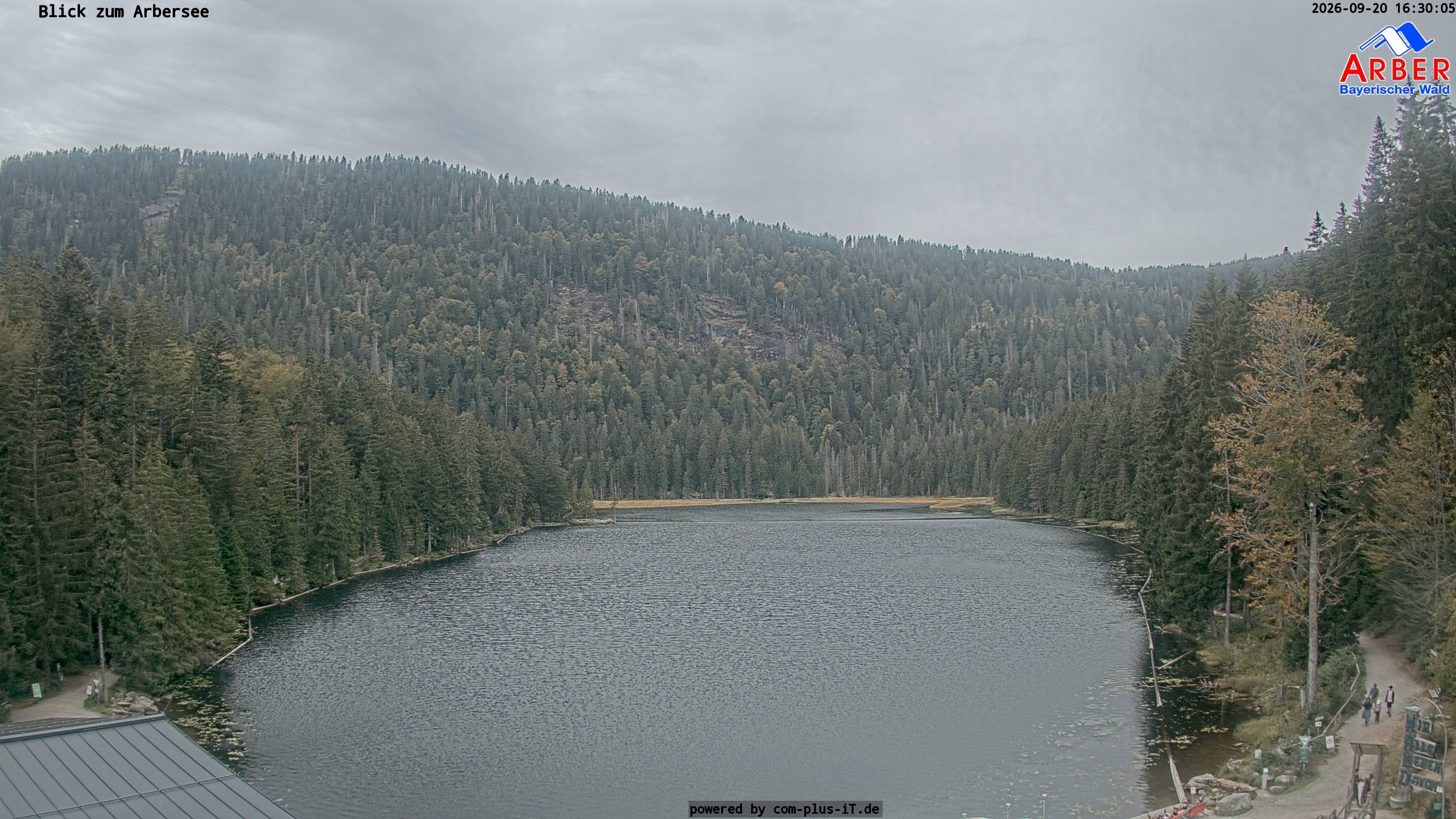 Archiv Foto Webcam Großer Arbersee - Bayerischer Wald