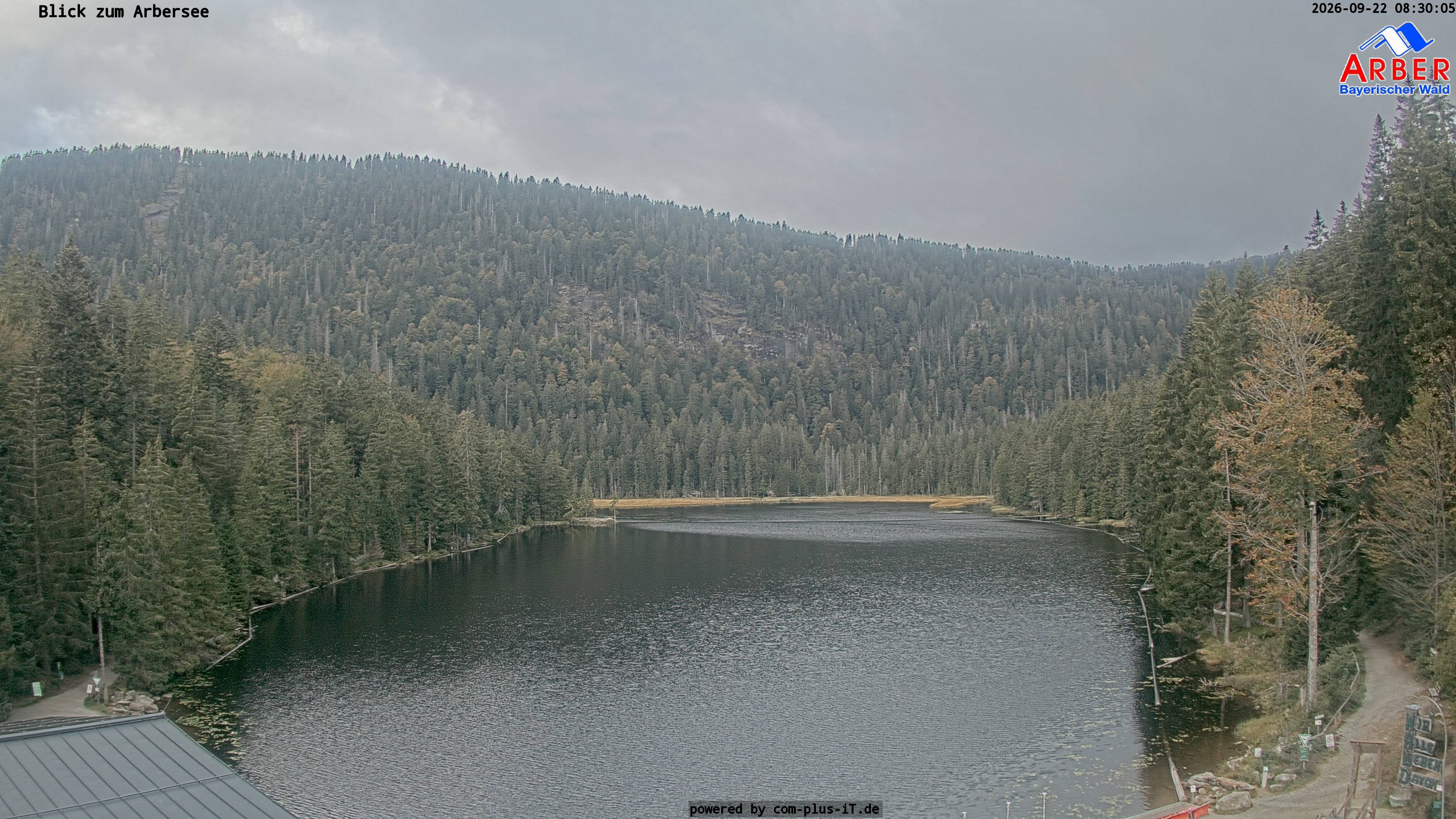 Archived image Webcam Lake "Großer Arbersee" (Bavarian Forest)