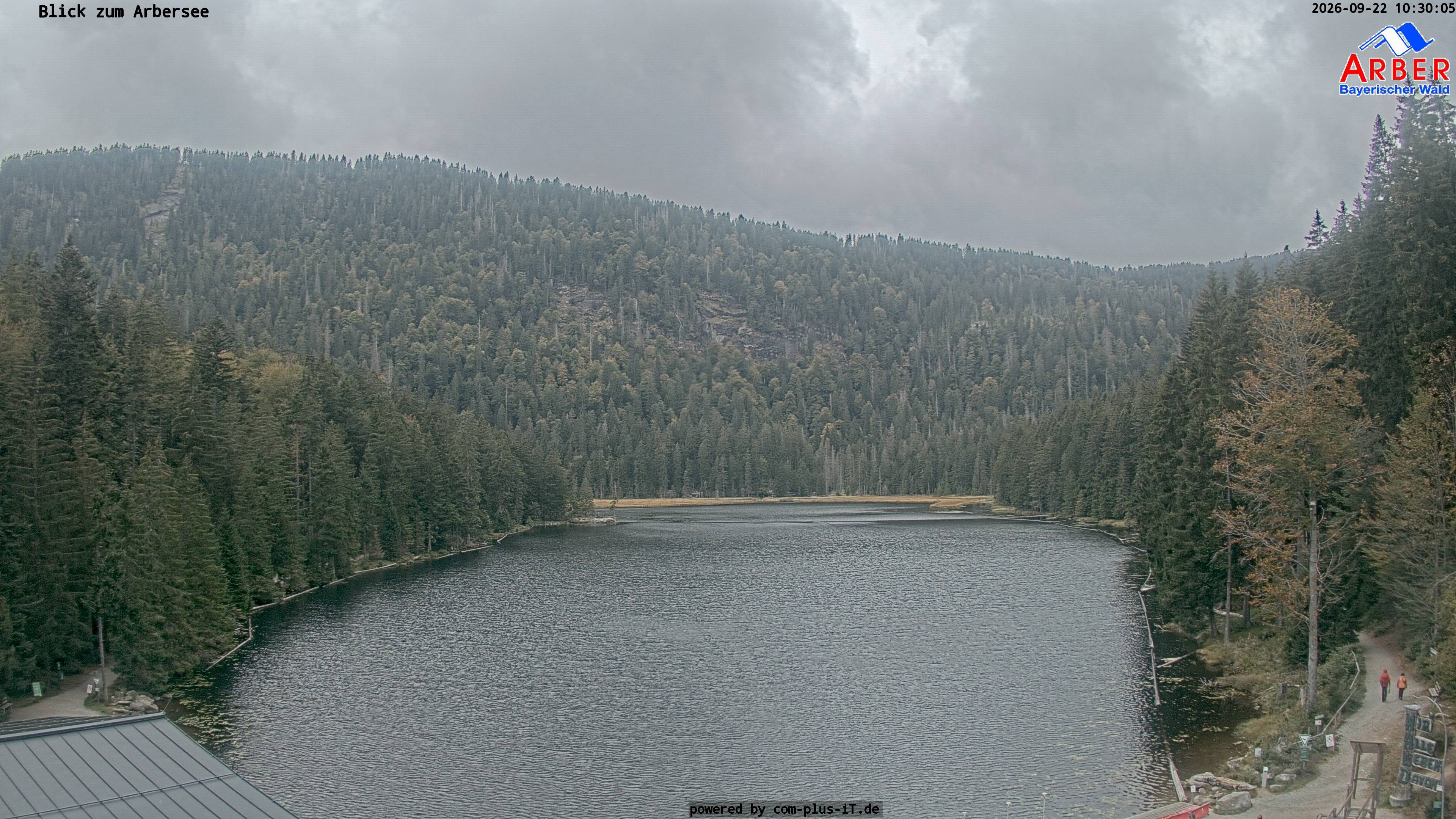 Archiv Foto Webcam Großer Arbersee - Bayerischer Wald