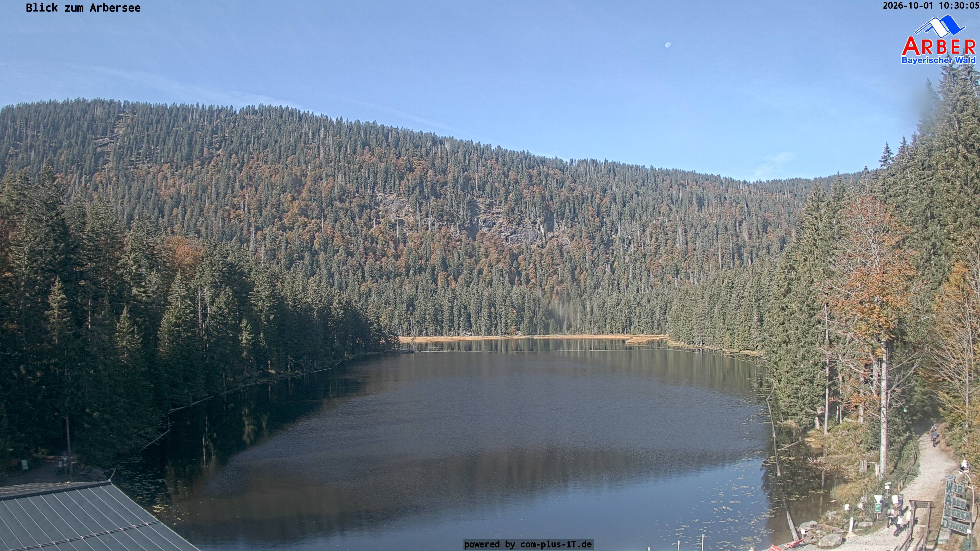 Archiv Foto Webcam Großer Arbersee - Bayerischer Wald