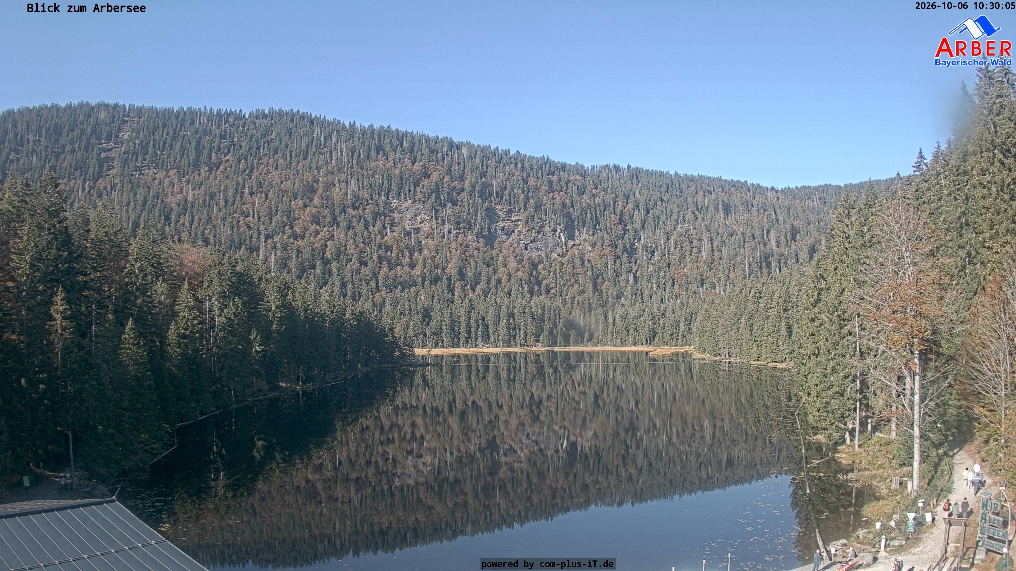 Archiv Foto Webcam Großer Arbersee - Bayerischer Wald