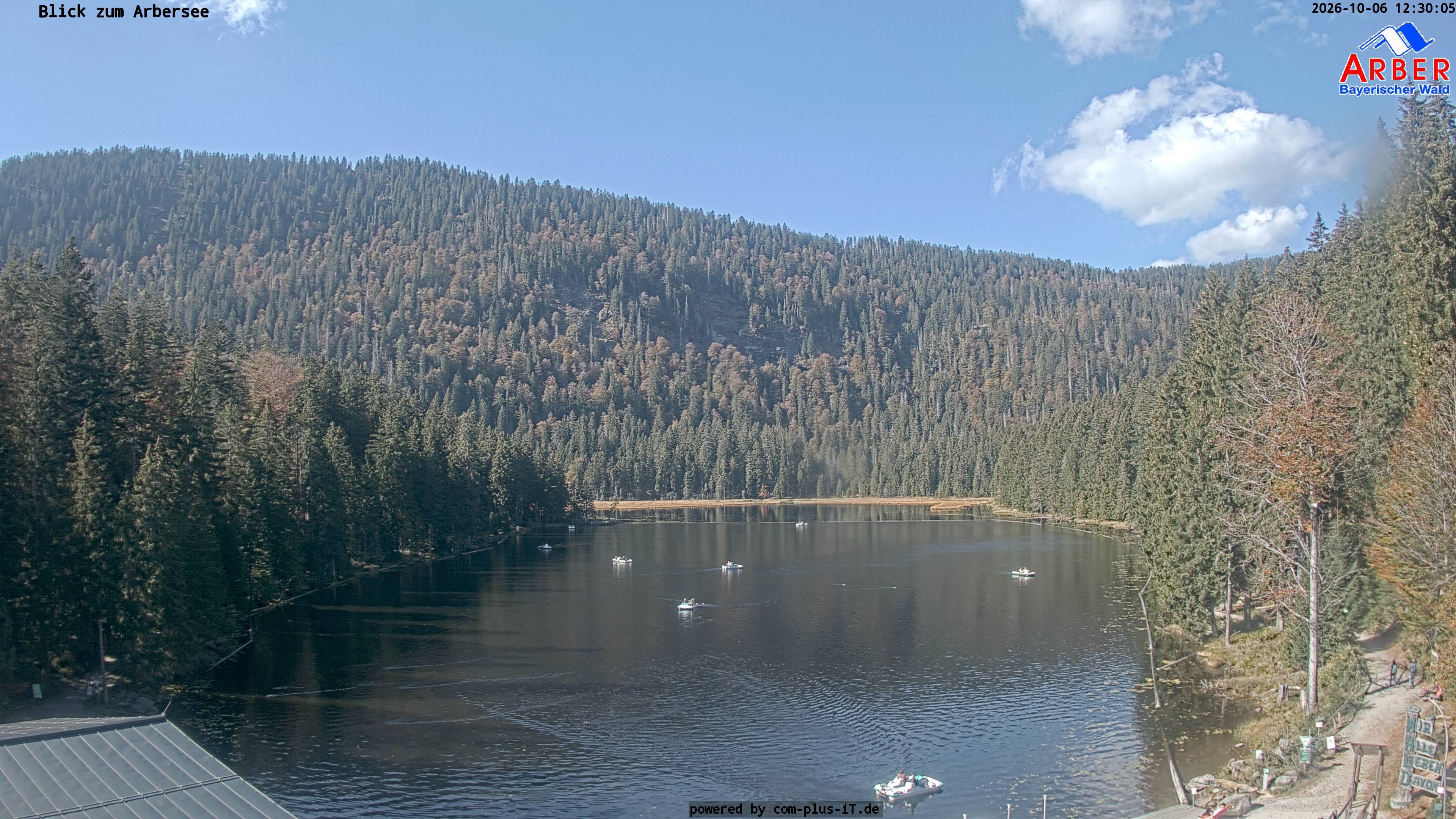 Archiv Foto Webcam Großer Arbersee - Bayerischer Wald