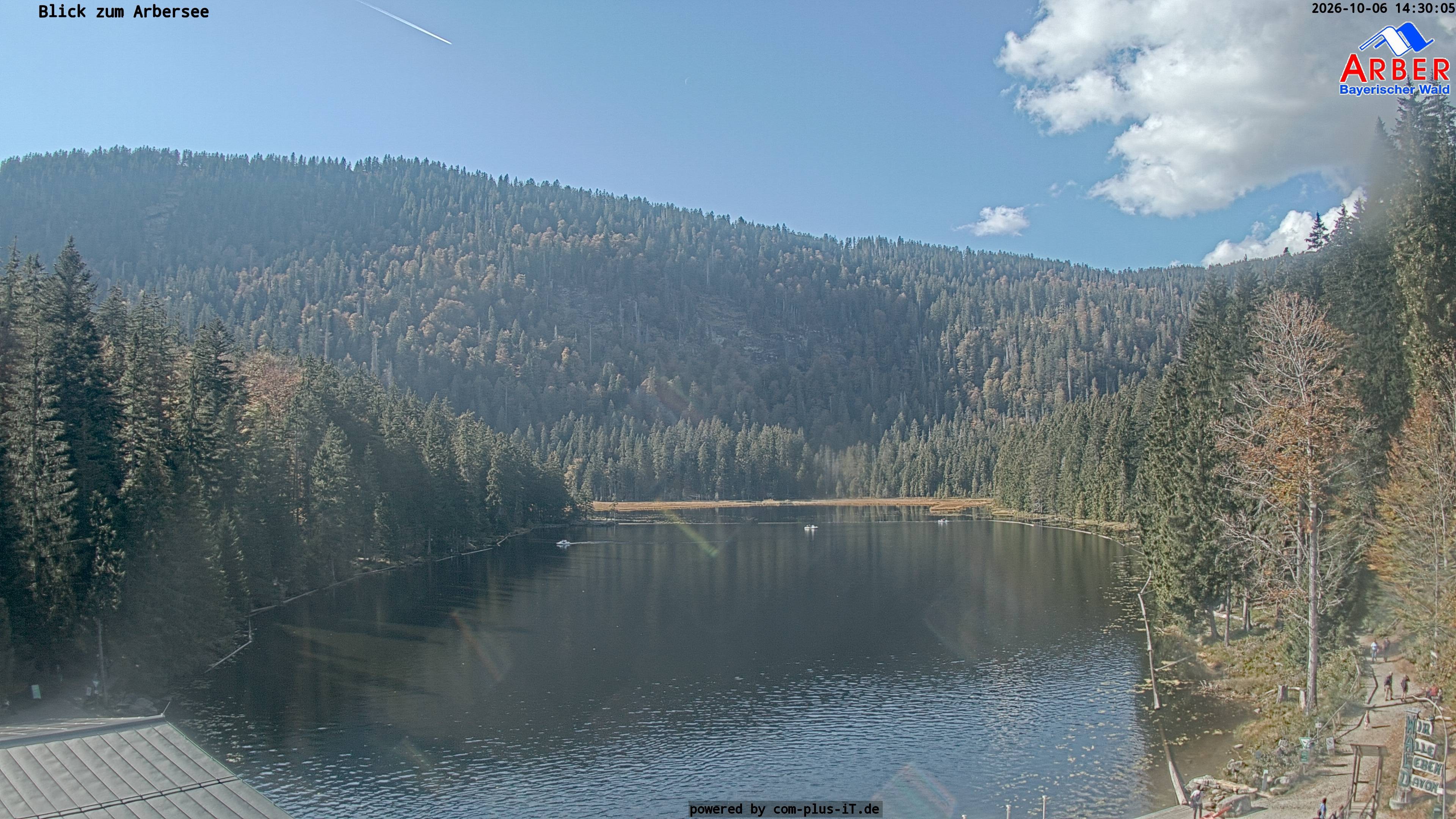 Archiv Foto Webcam Großer Arbersee - Bayerischer Wald