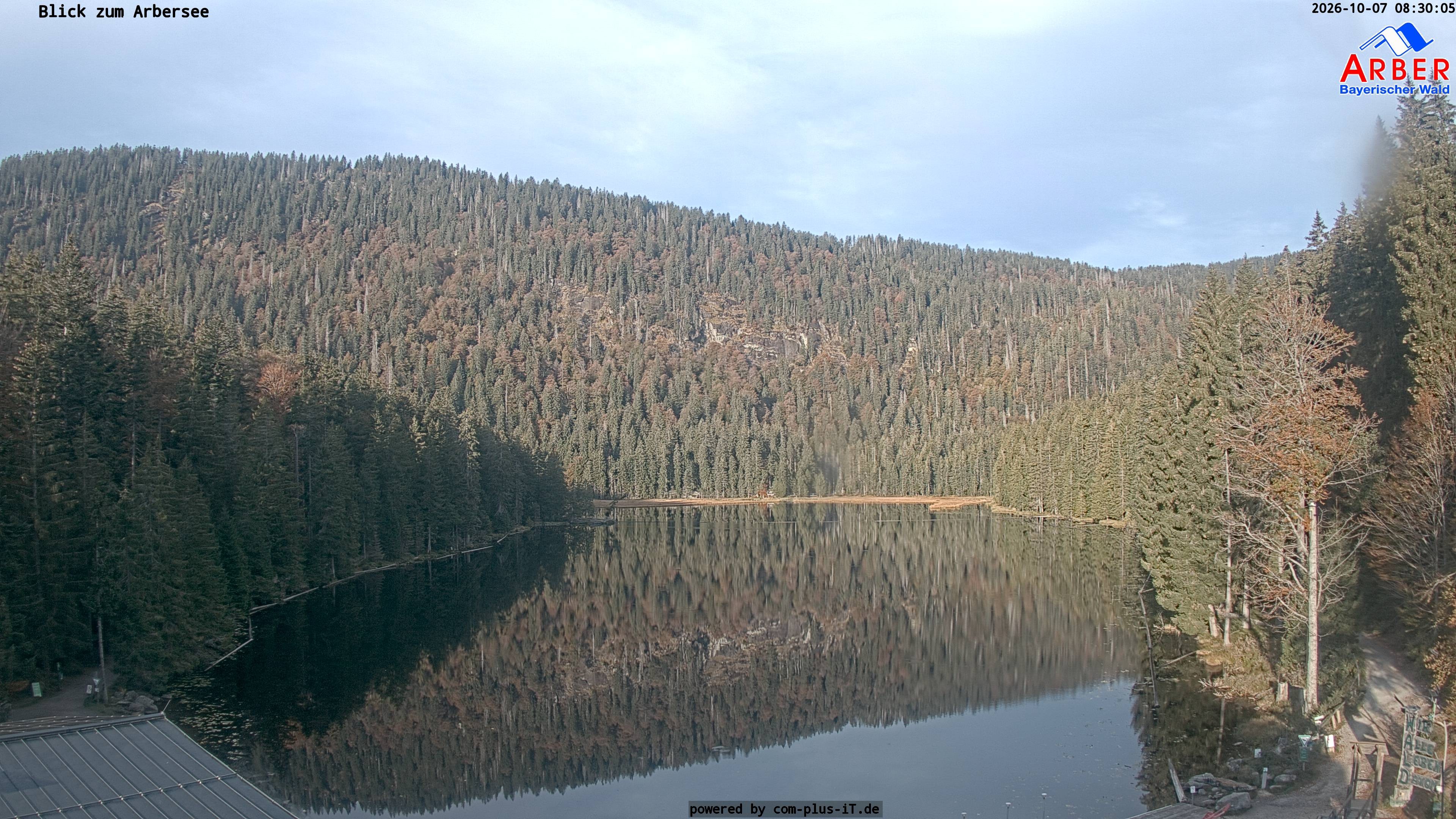 Archiv Foto Webcam Großer Arbersee - Bayerischer Wald