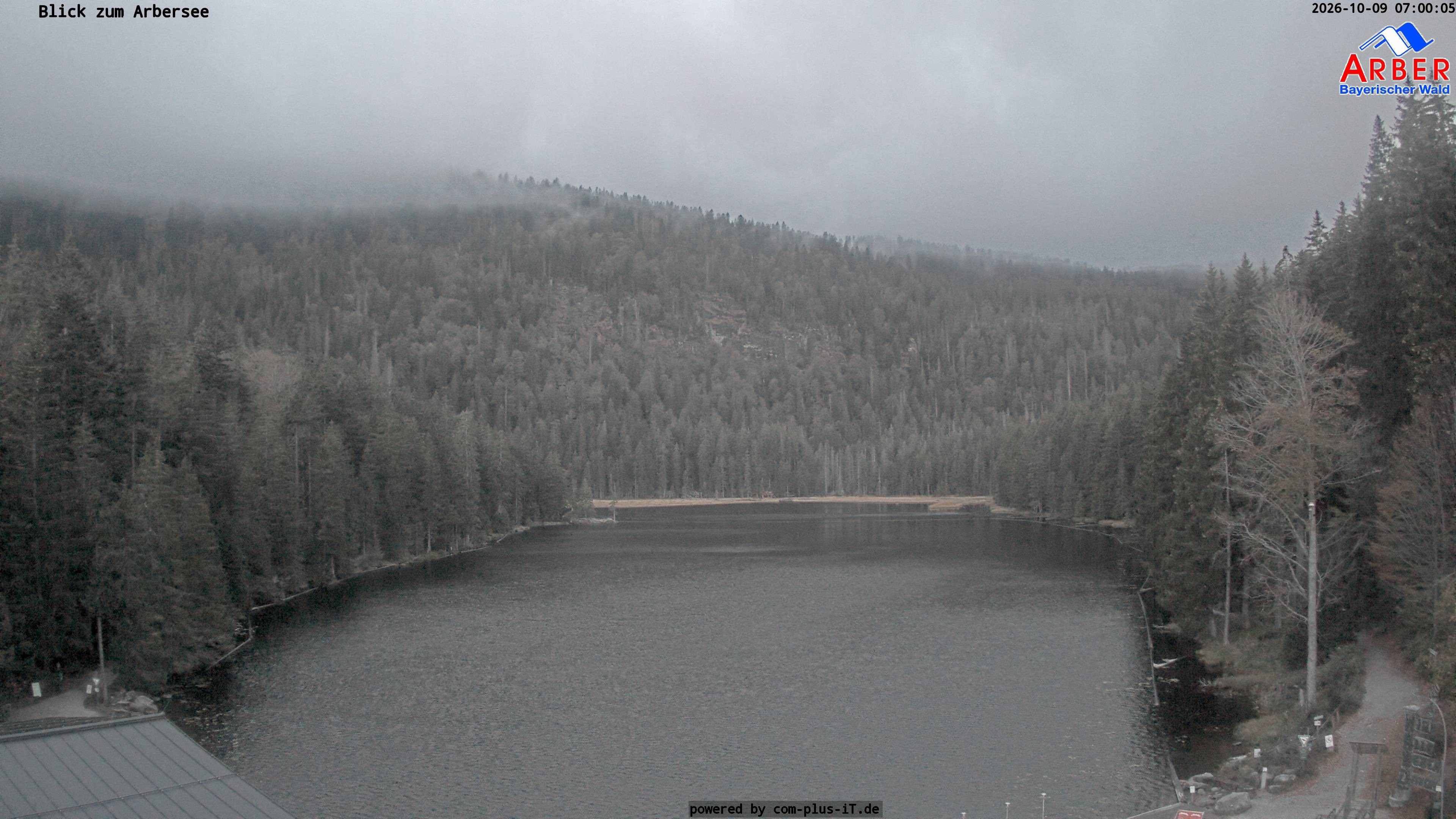 Archiv Foto Webcam Großer Arbersee - Bayerischer Wald