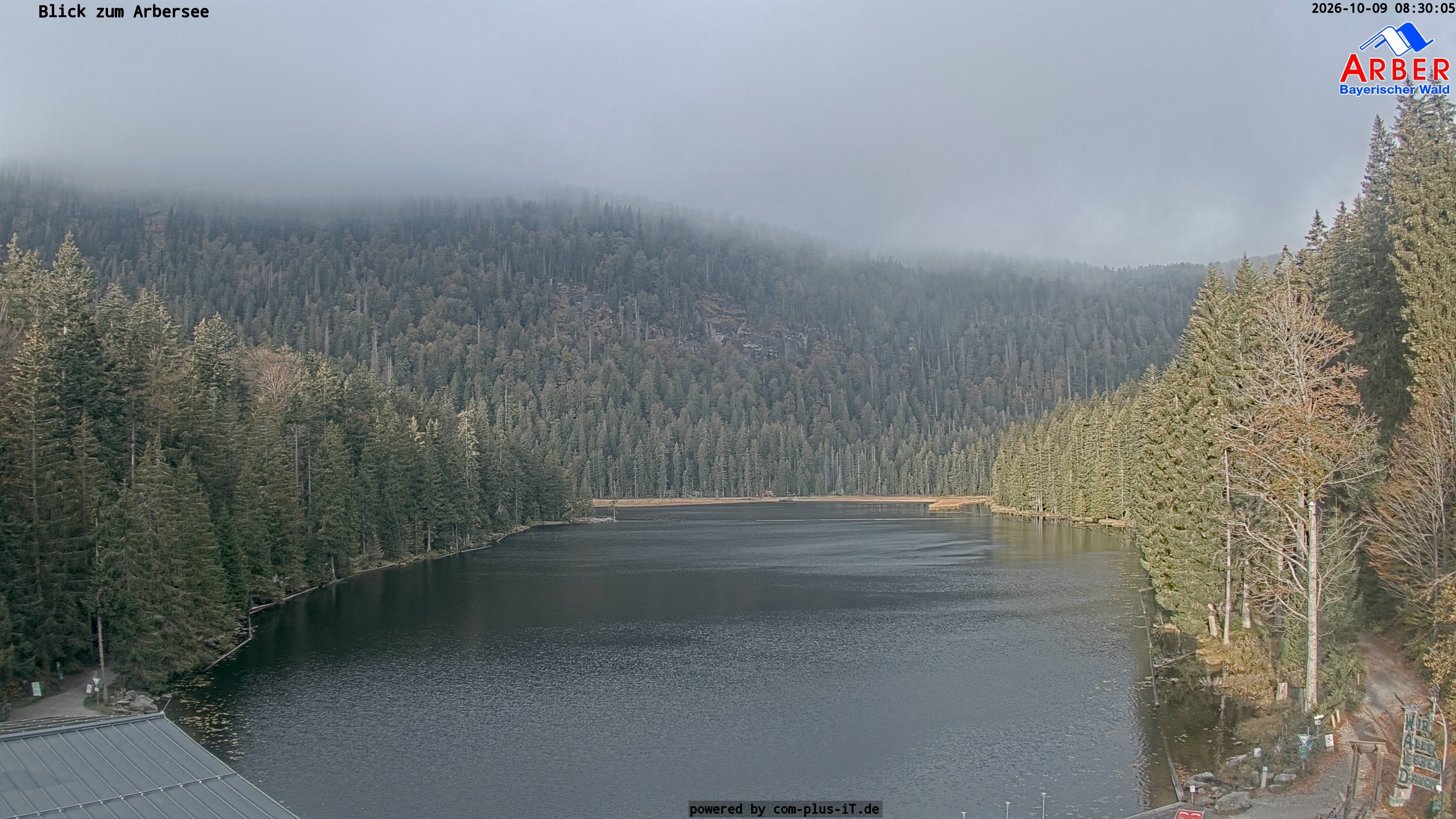 Archiv Foto Webcam Großer Arbersee - Bayerischer Wald