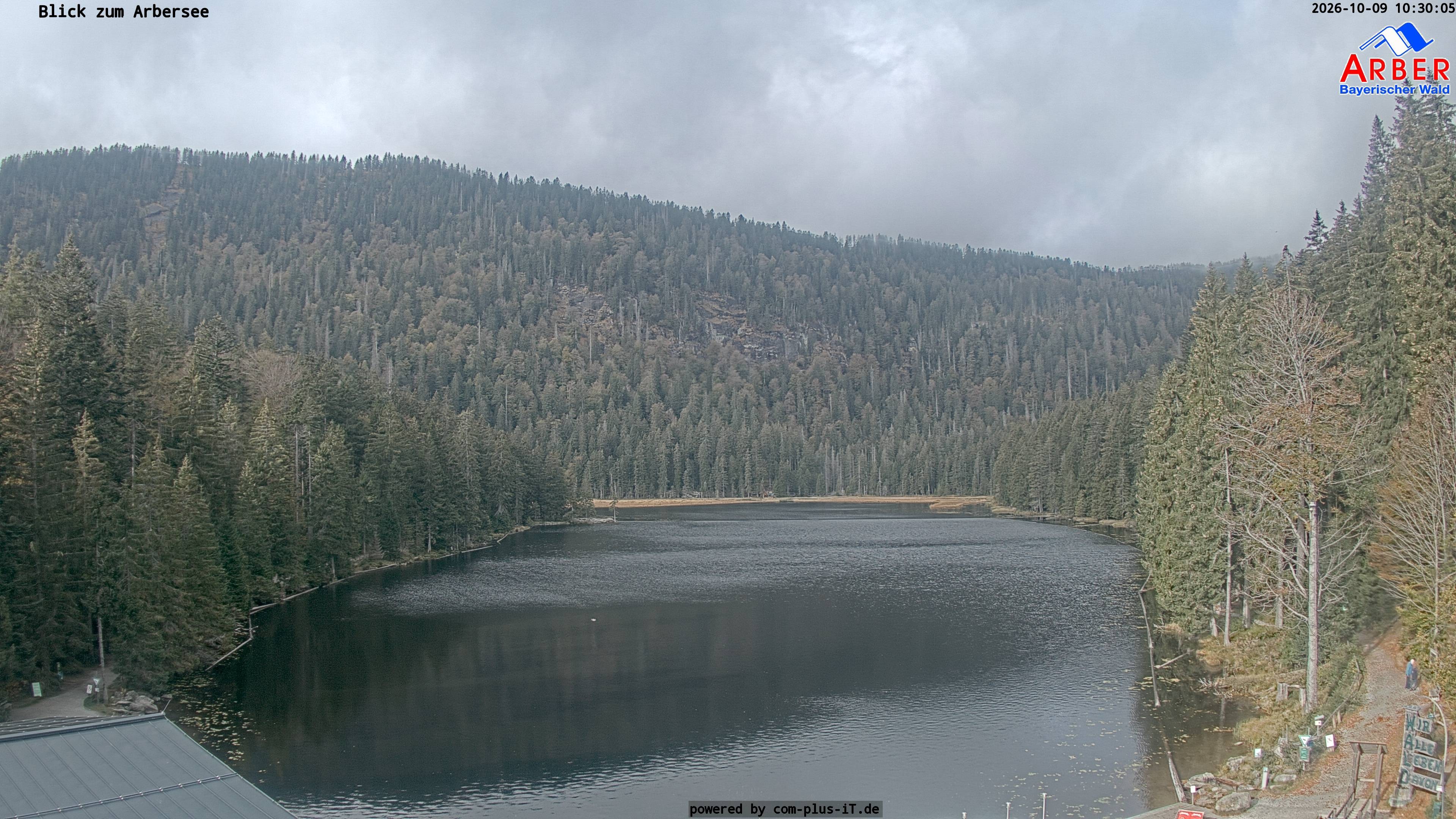 Archiv Foto Webcam Großer Arbersee - Bayerischer Wald