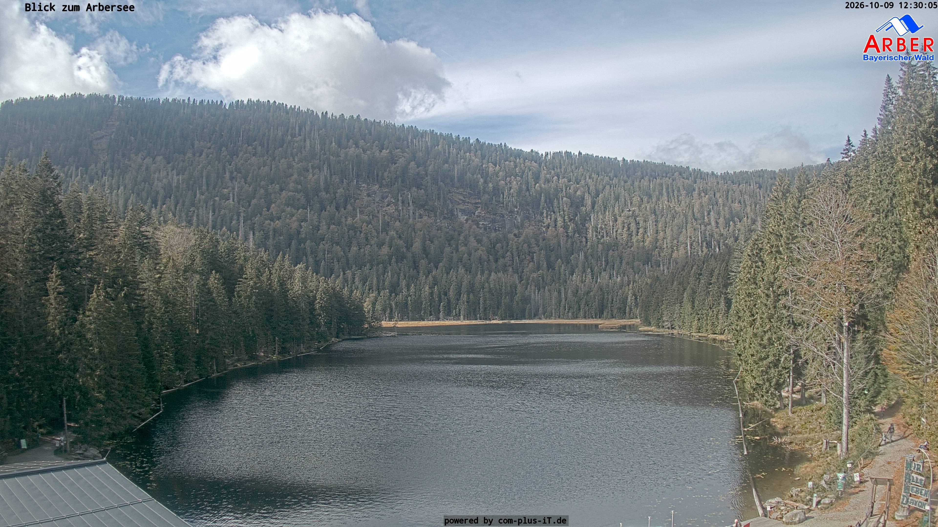 Archiv Foto Webcam Großer Arbersee - Bayerischer Wald