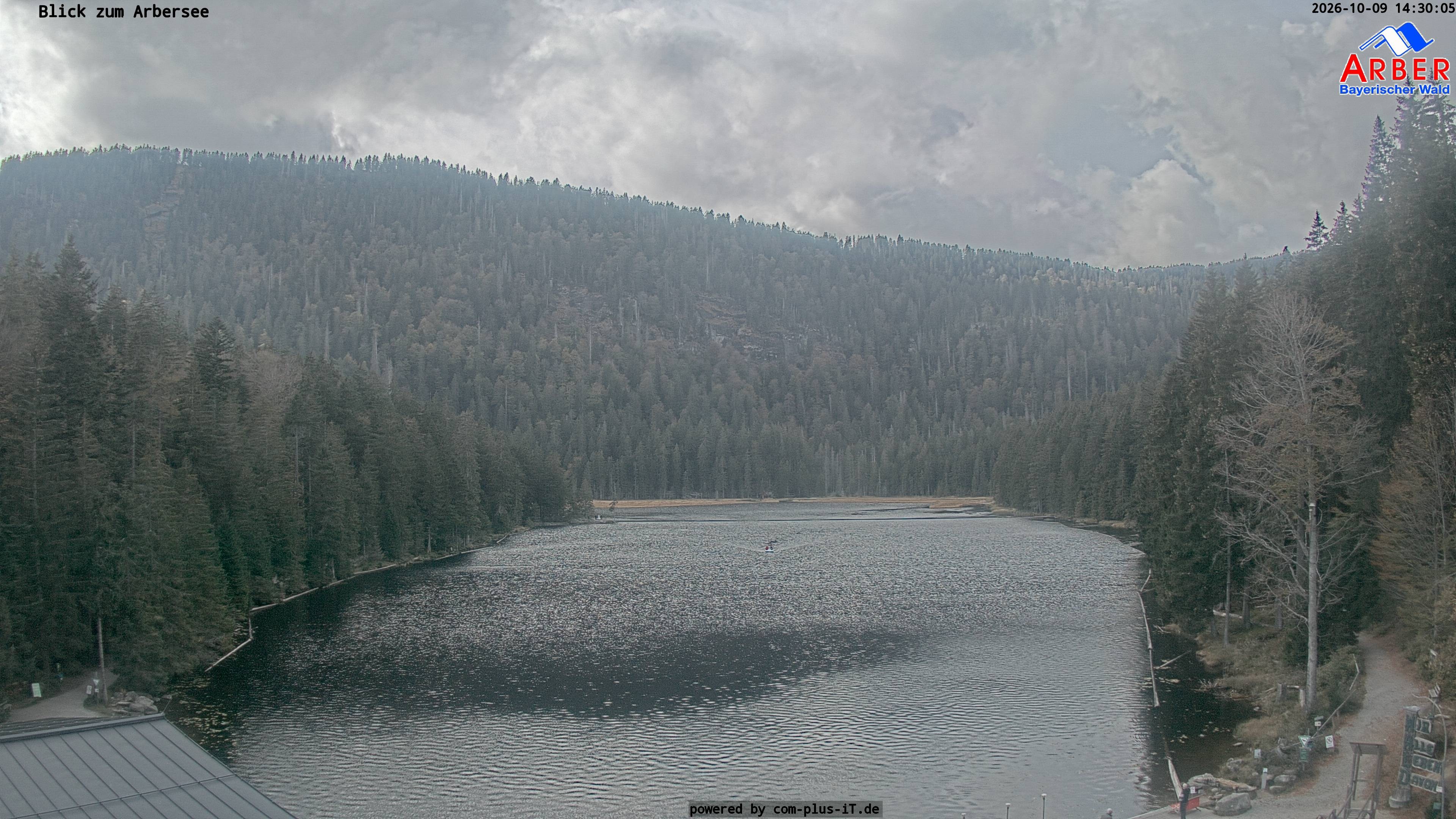 Archiv Foto Webcam Großer Arbersee - Bayerischer Wald