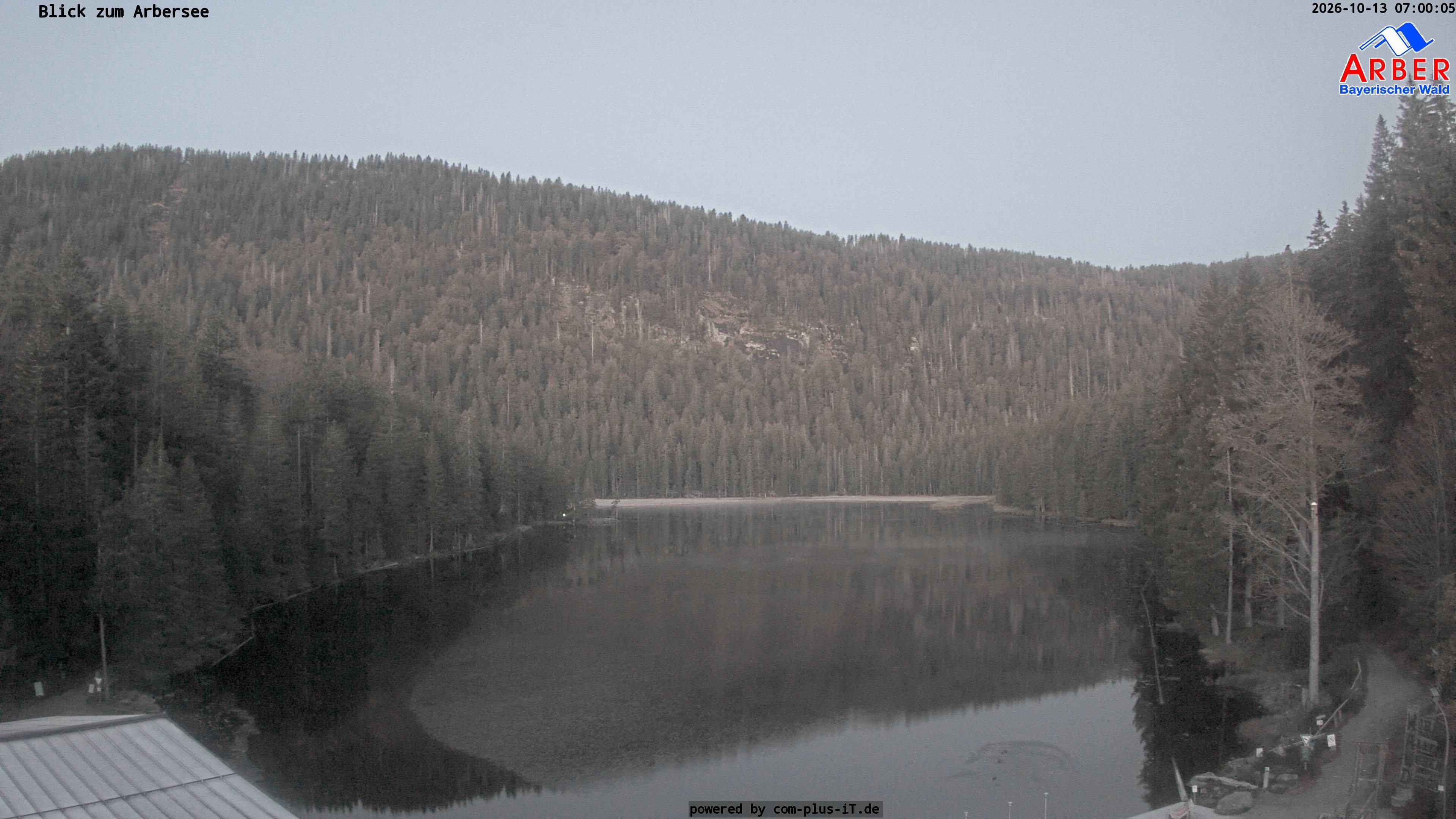 Archiv Foto Webcam Großer Arbersee - Bayerischer Wald