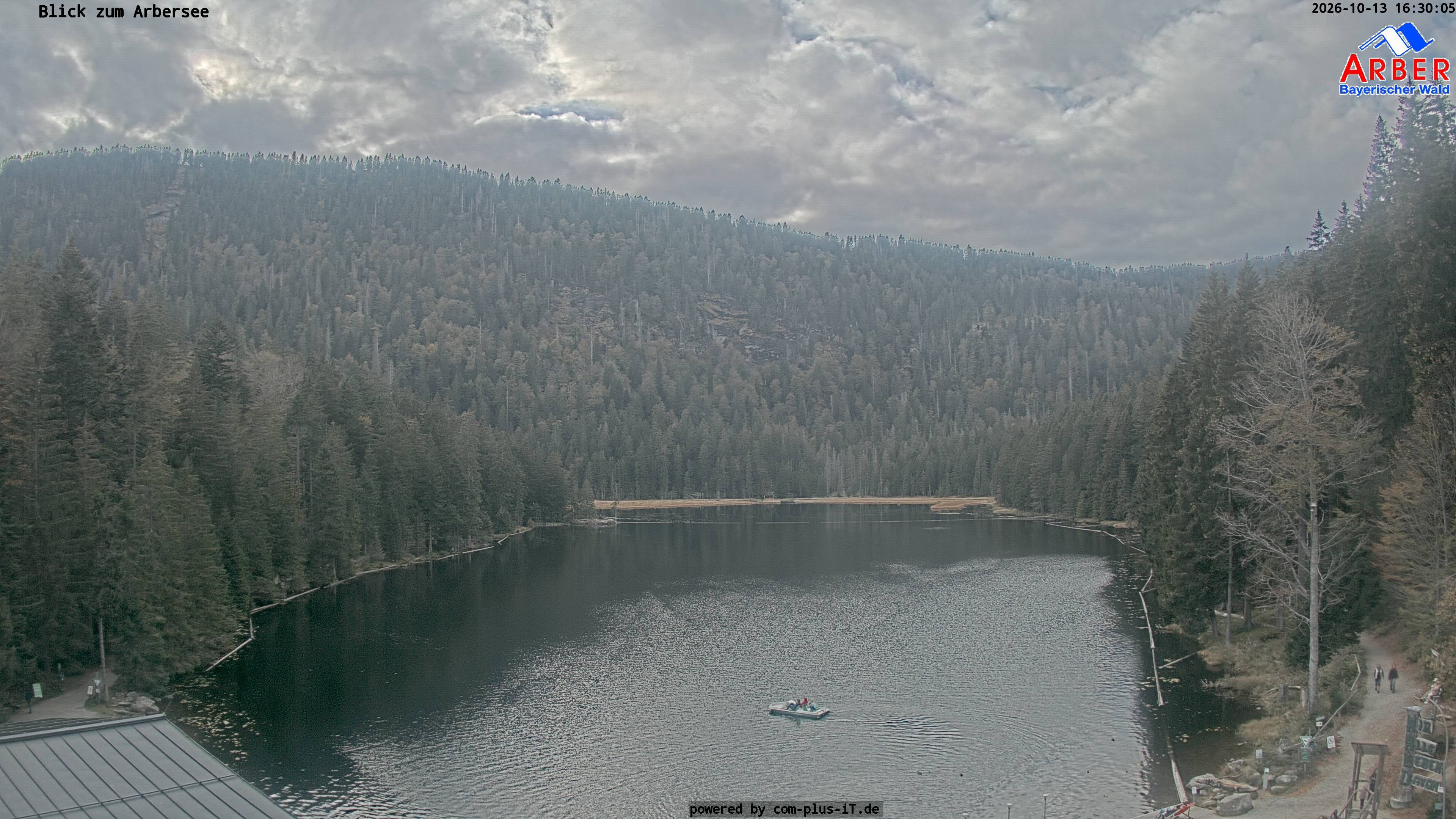 Archiv Foto Webcam Großer Arbersee - Bayerischer Wald