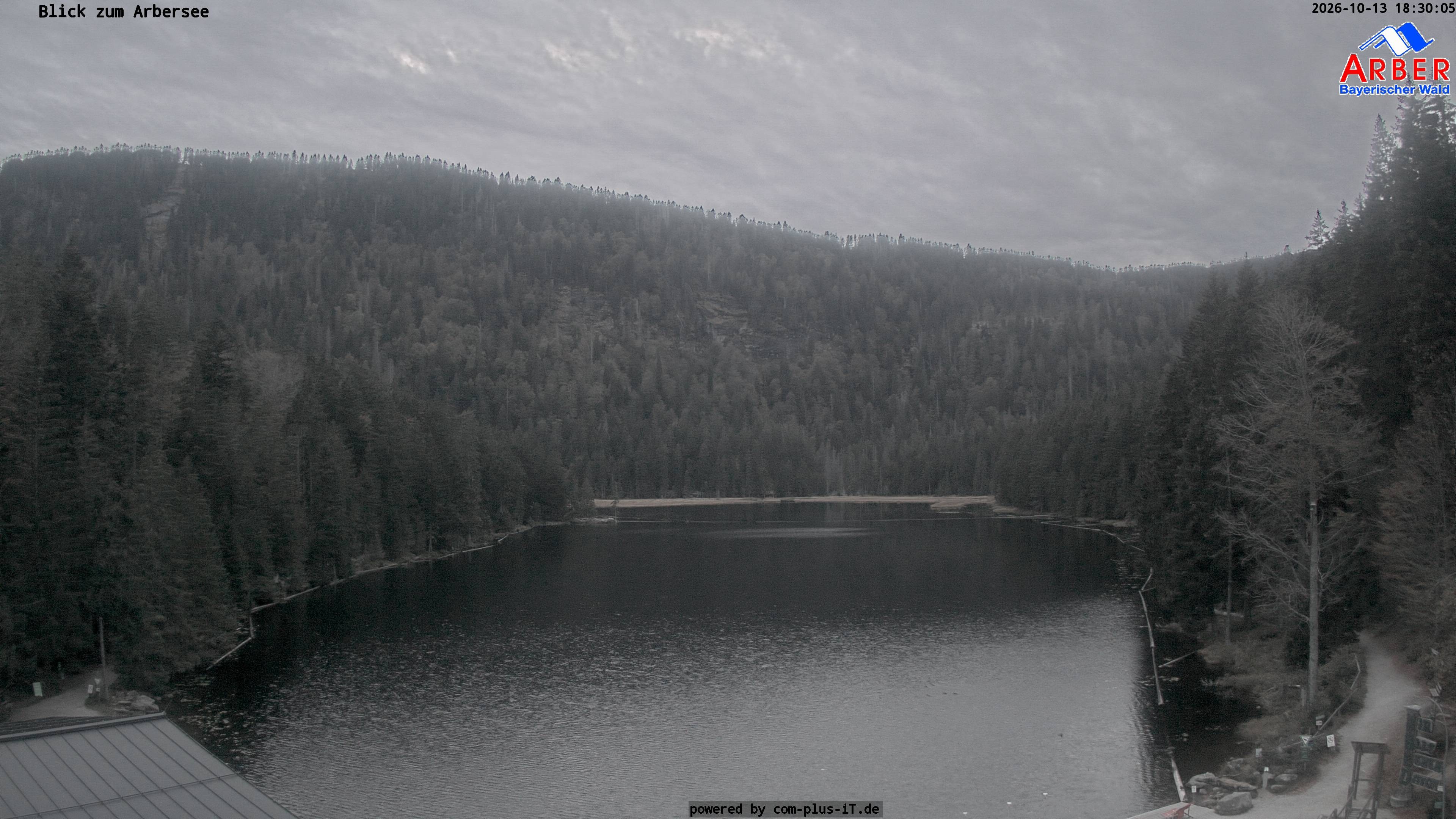 Archiv Foto Webcam Großer Arbersee - Bayerischer Wald