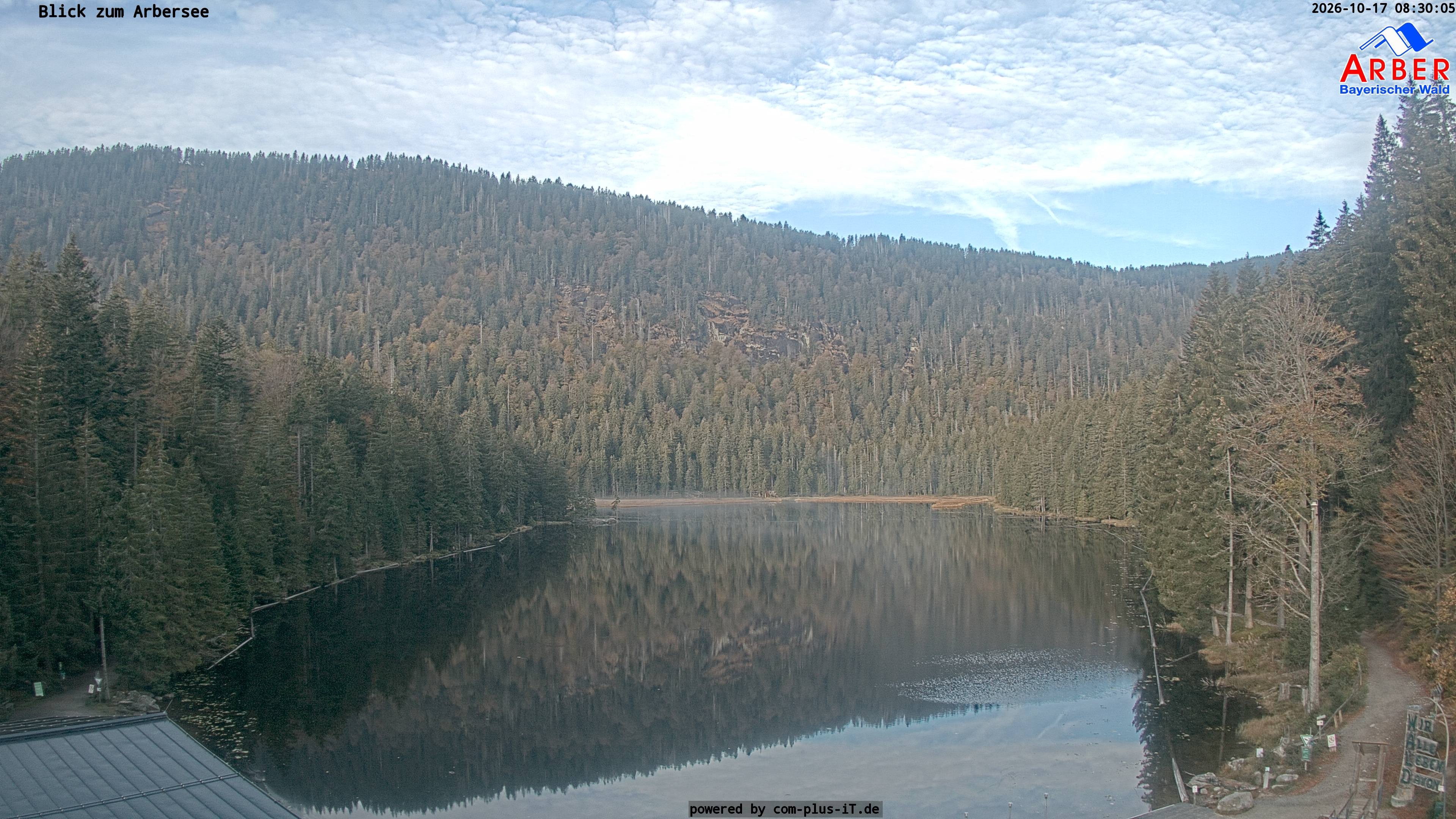 Archiv Foto Webcam Großer Arbersee - Bayerischer Wald